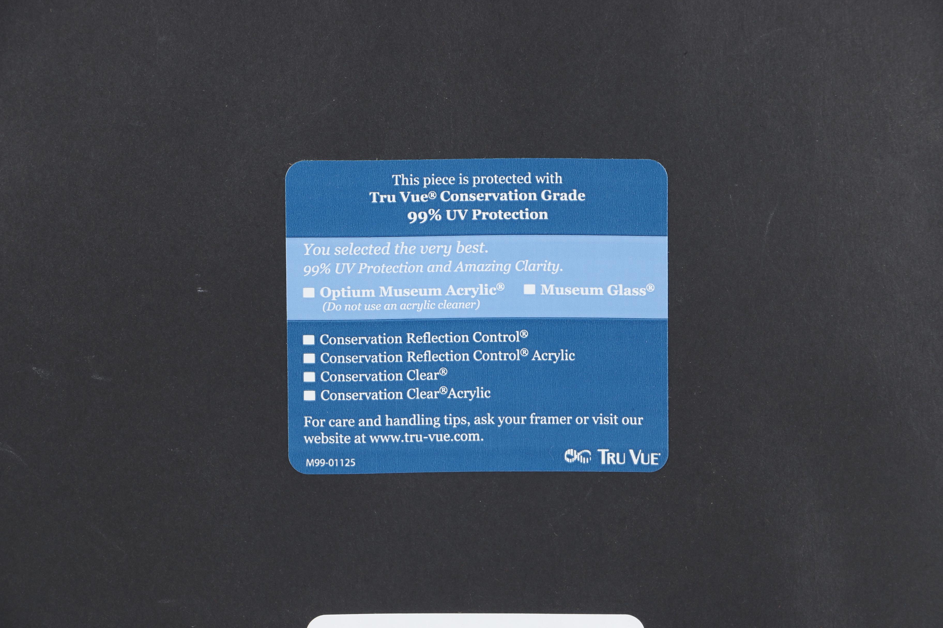 Cat Lithograph Inspired by Da Vinci's Vitruvian Man