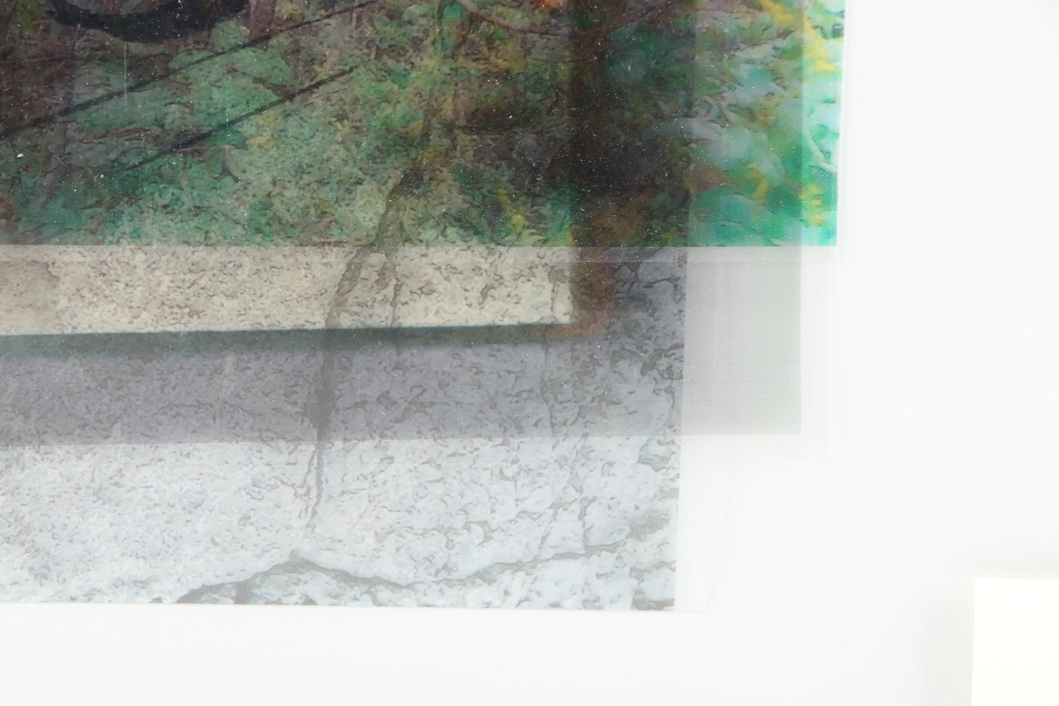 Gregg Harper Photo-Acetate Collage "When More Than Was Lost has been Found"