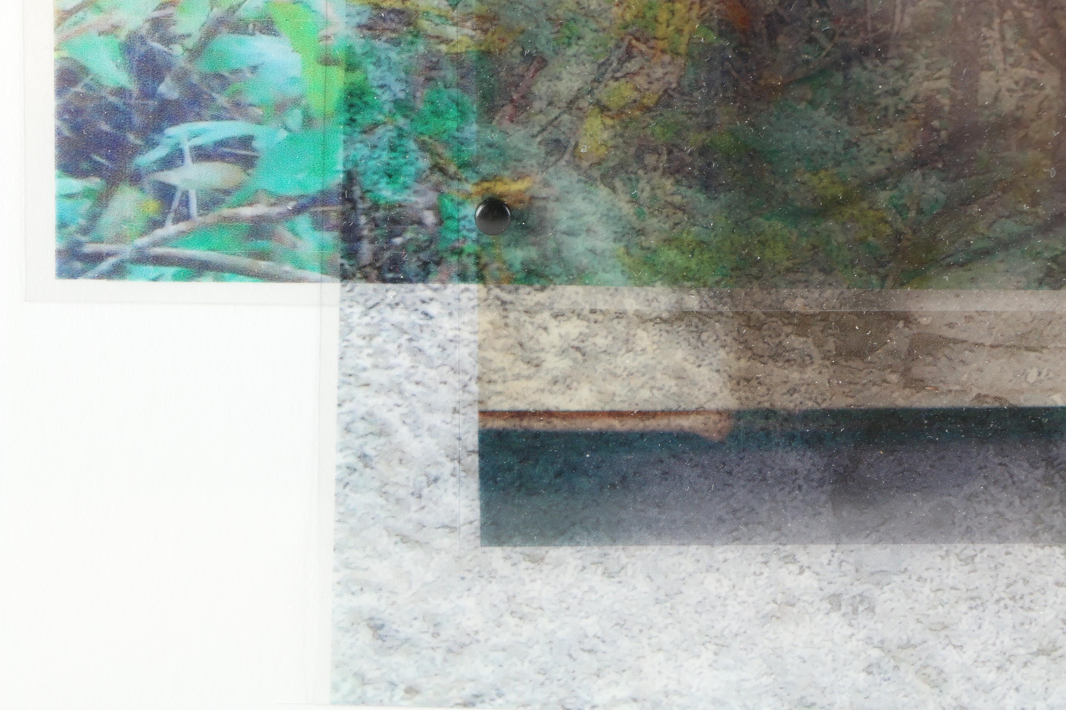 Gregg Harper Photo-Acetate Collage "When More Than Was Lost has been Found"