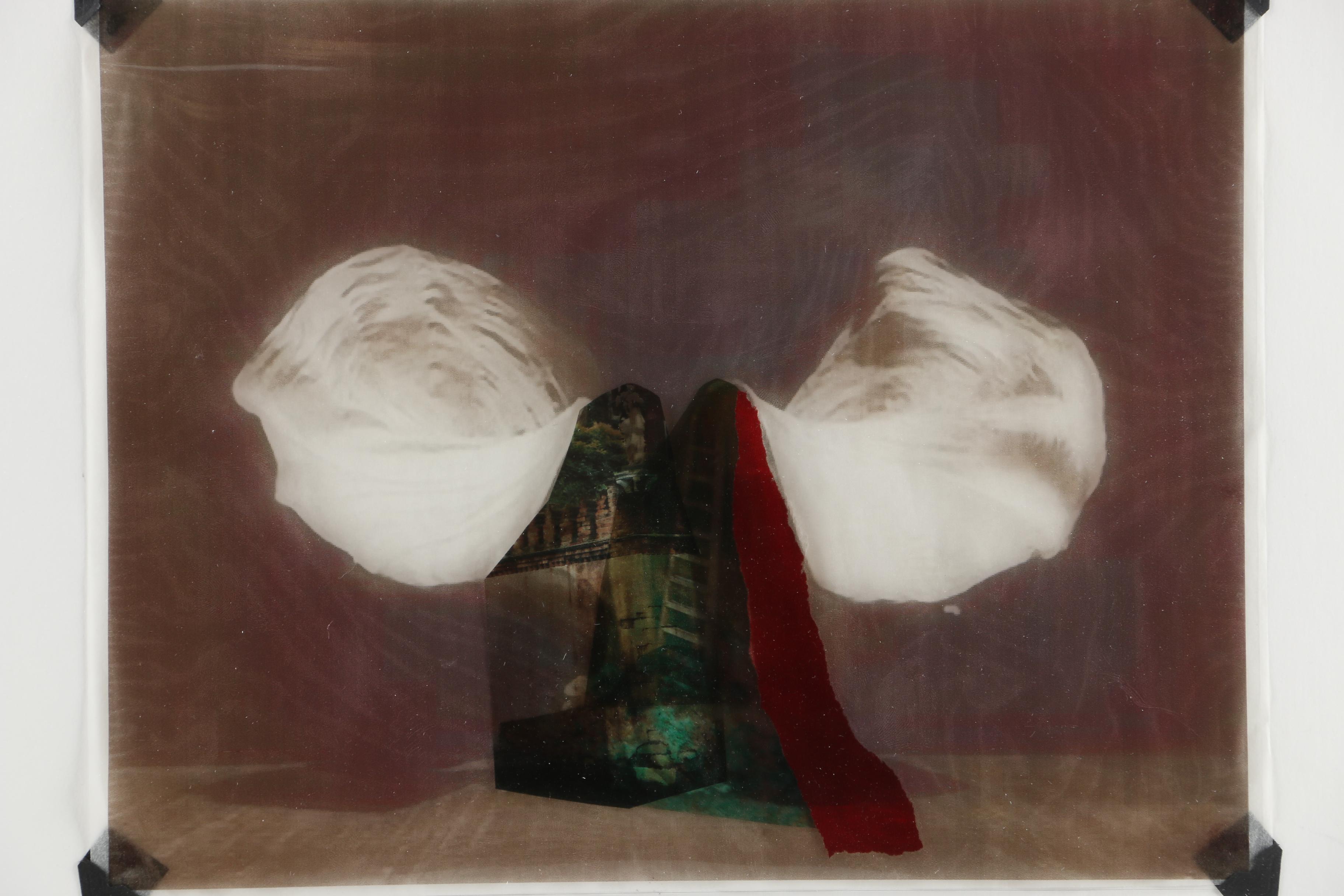 Gregg Harper Photo-Acetate Collage