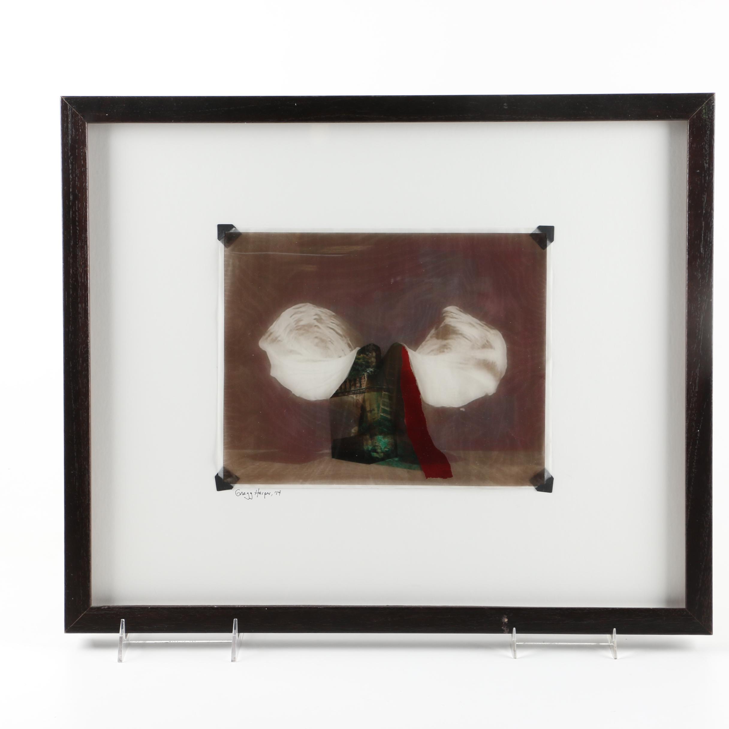 Gregg Harper Photo-Acetate Collage