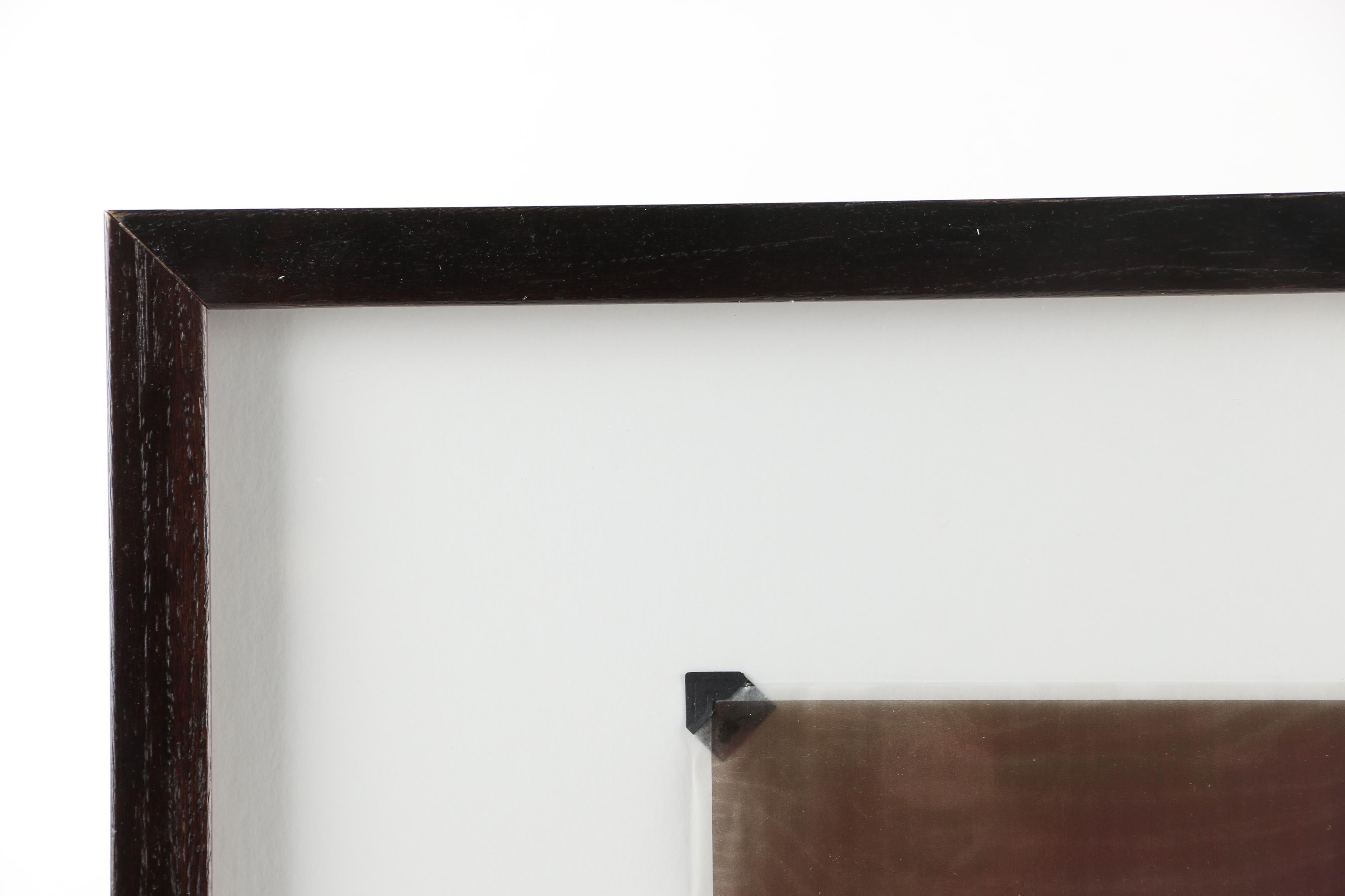 Gregg Harper Photo-Acetate Collage