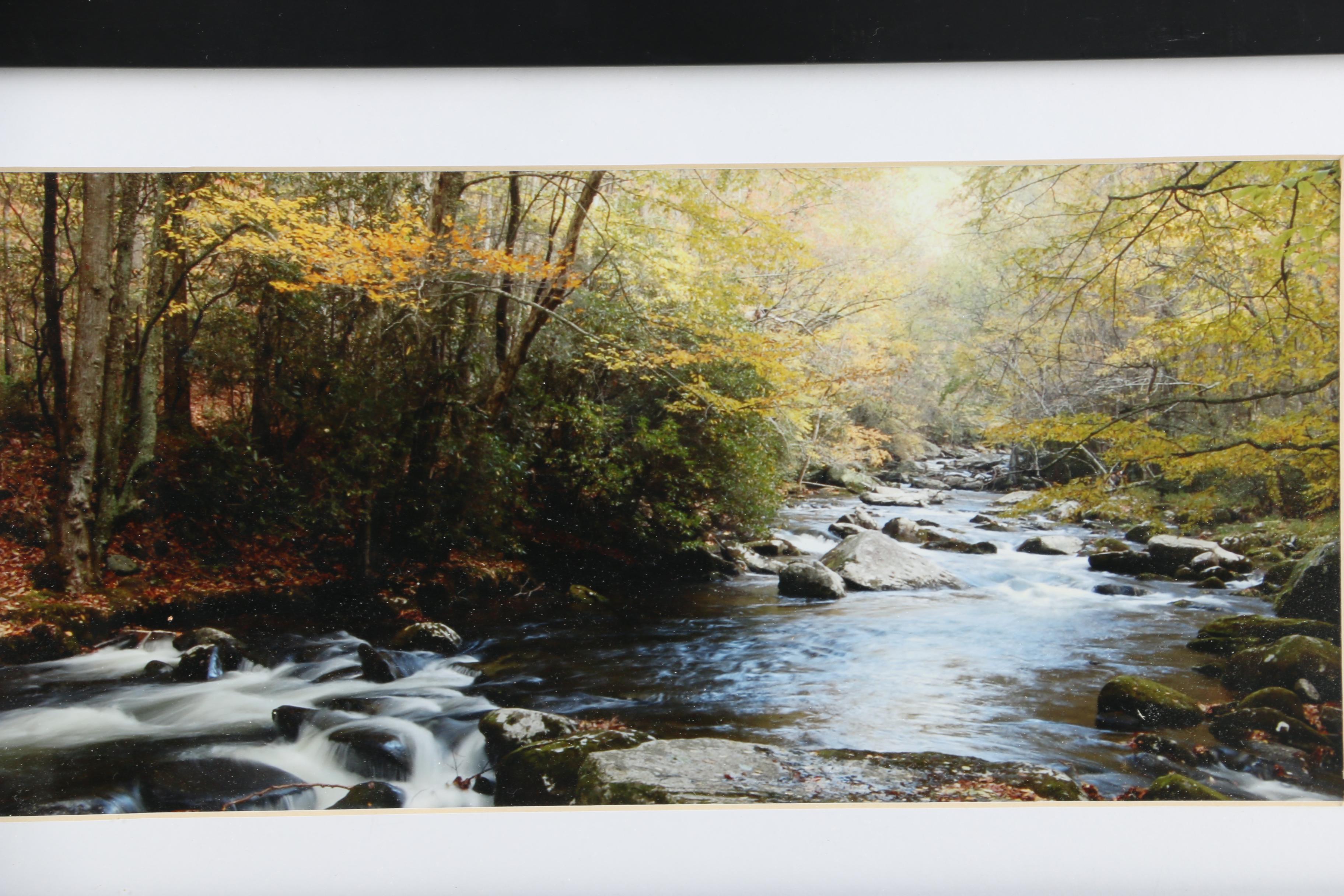 Digital Print Photograph of Landscape