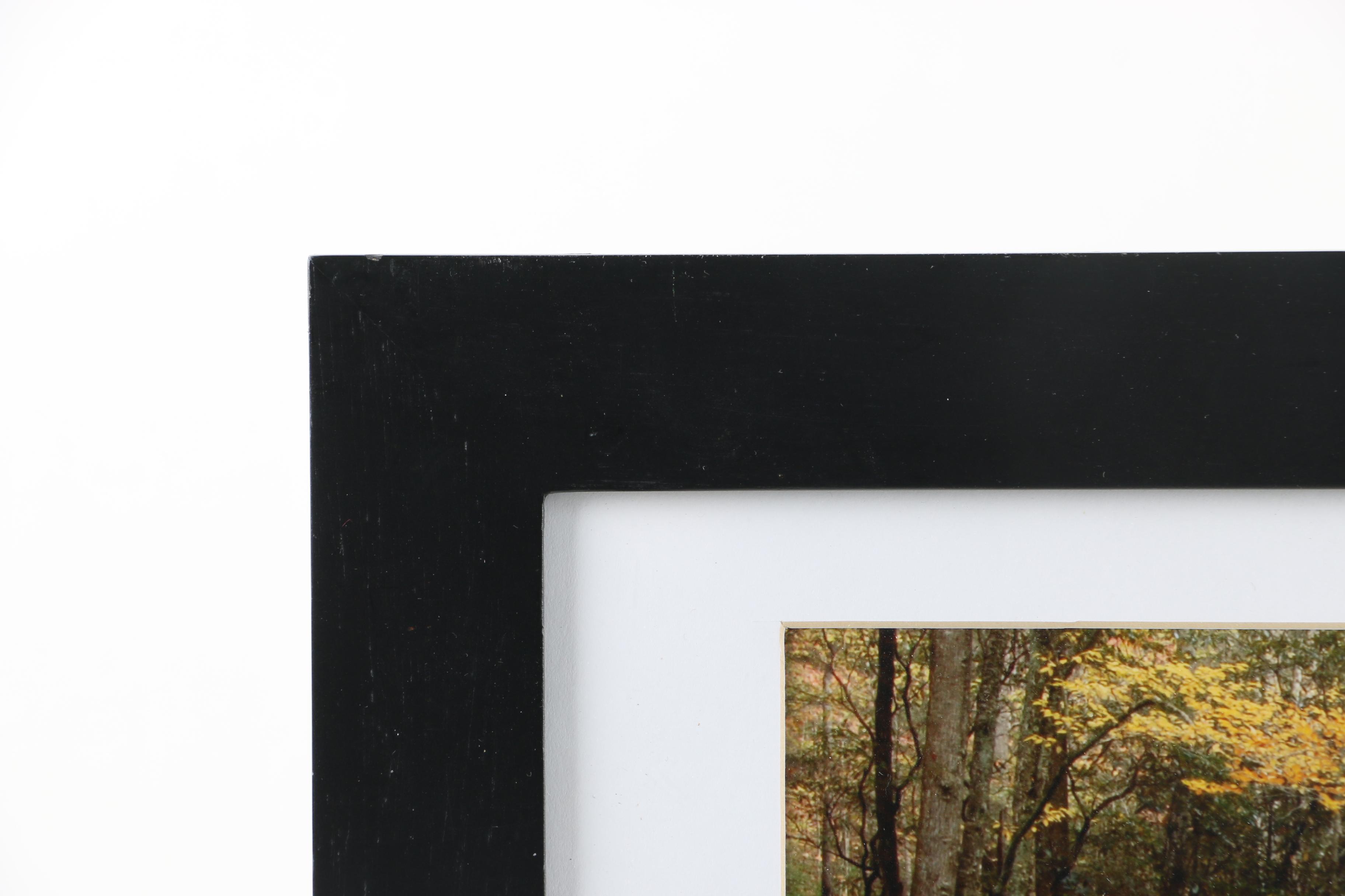 Digital Print Photograph of Landscape