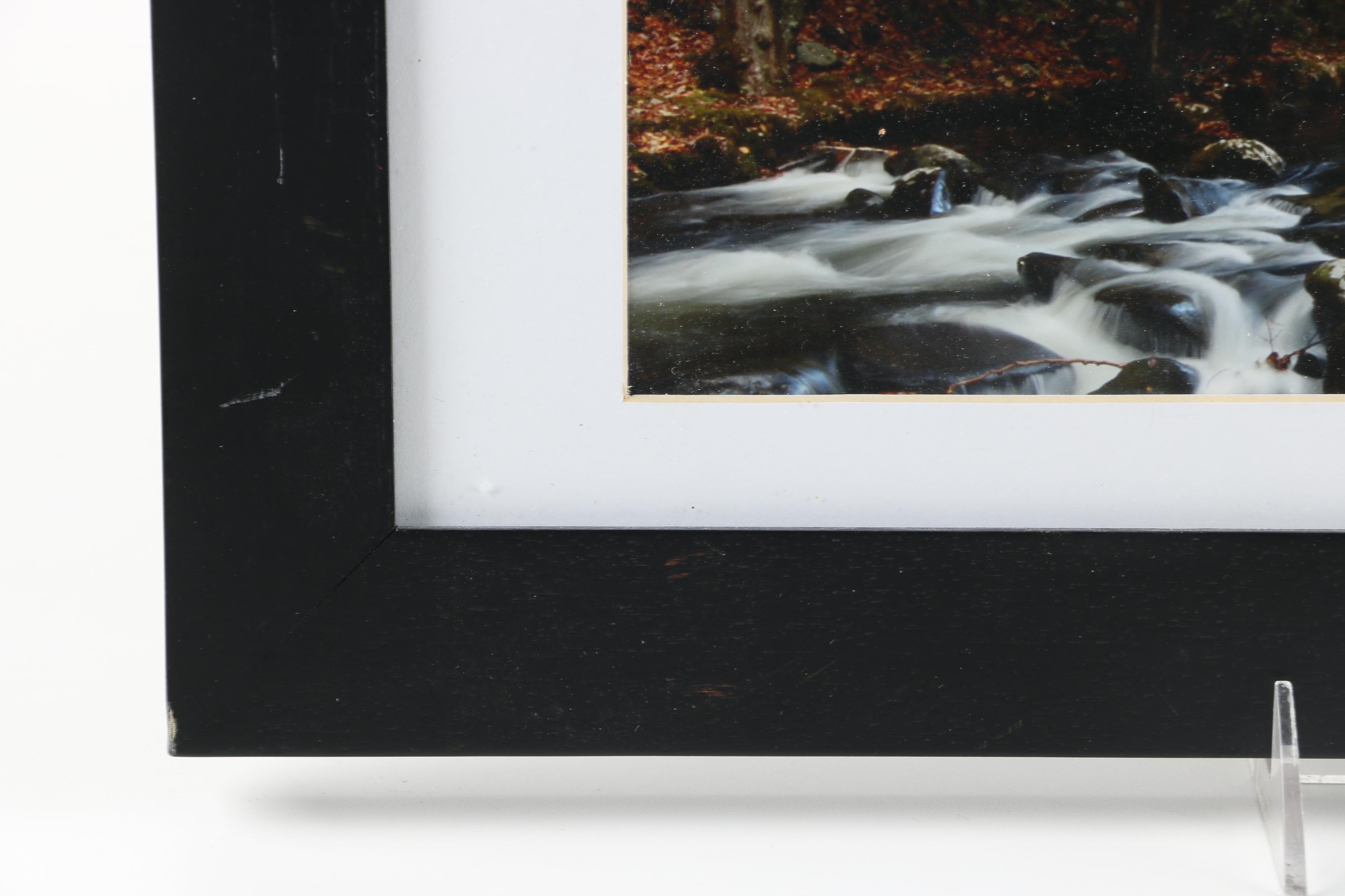 Digital Print Photograph of Landscape