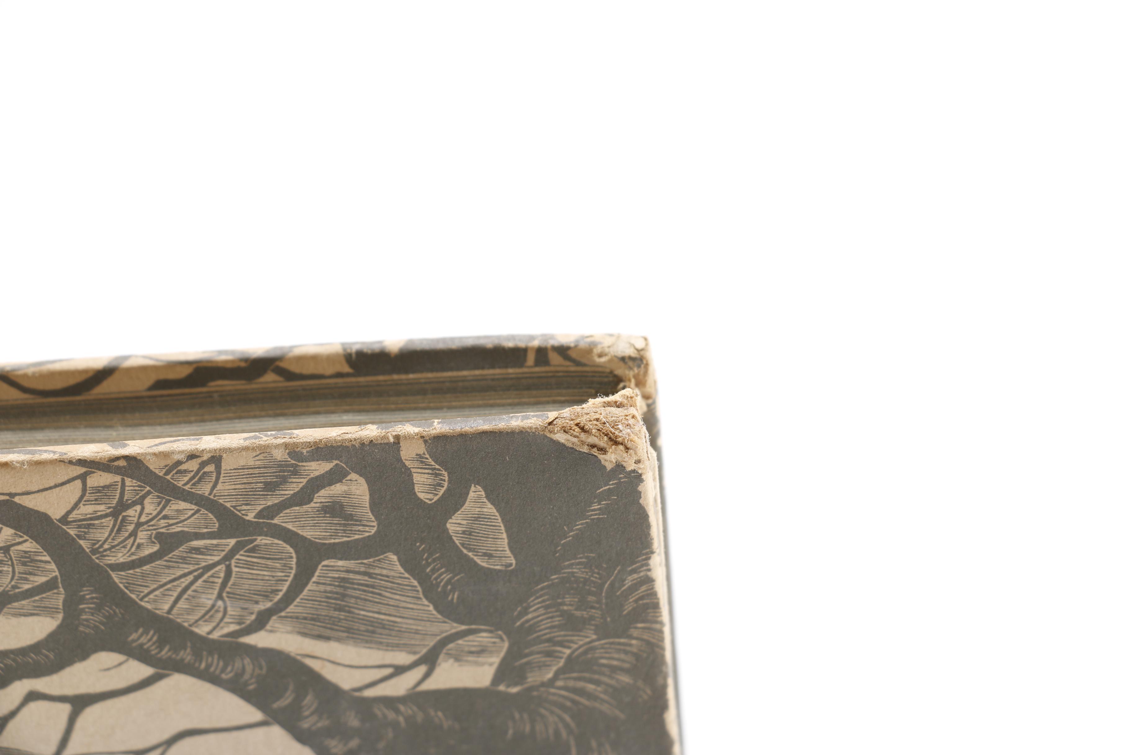 "Jane Eyre" by Charlotte Brontë and "Wuthering Heights" by Emily Brontë