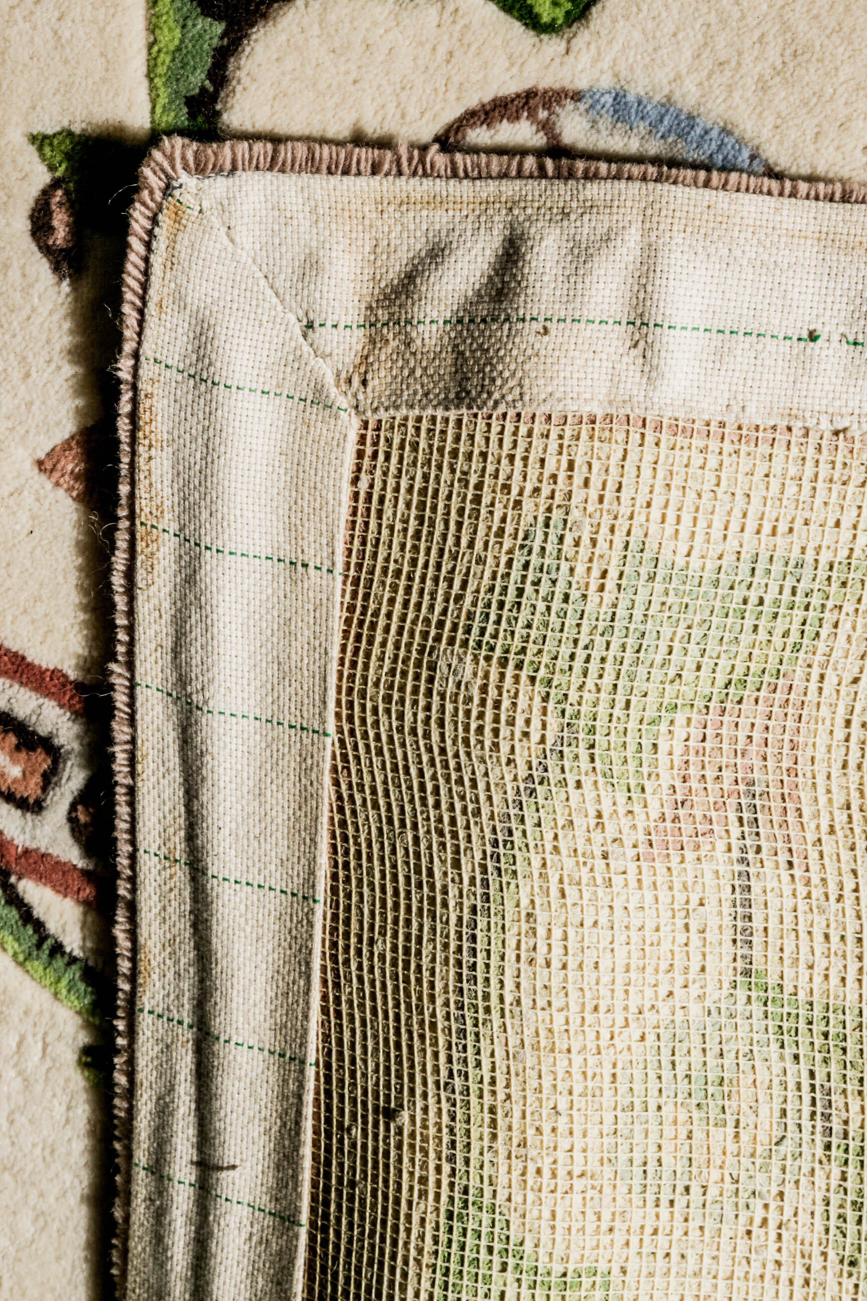 Machine Made Connoisseur Collections Area Rug