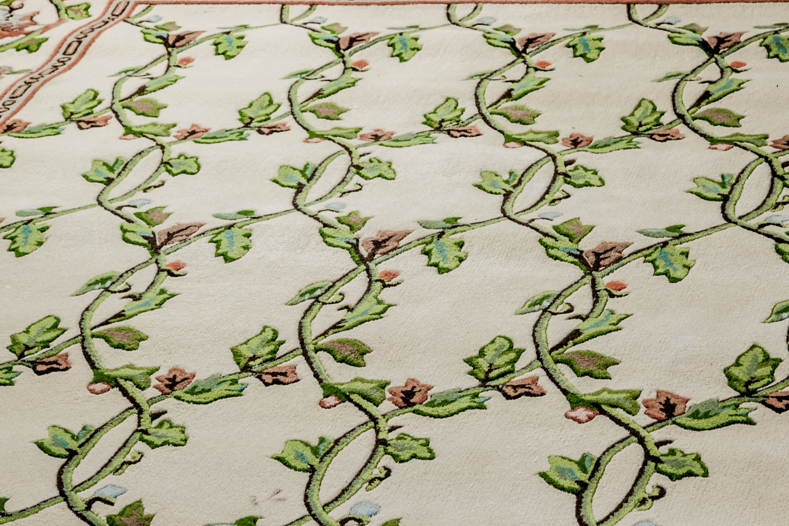 Machine Made Connoisseur Collections Area Rug