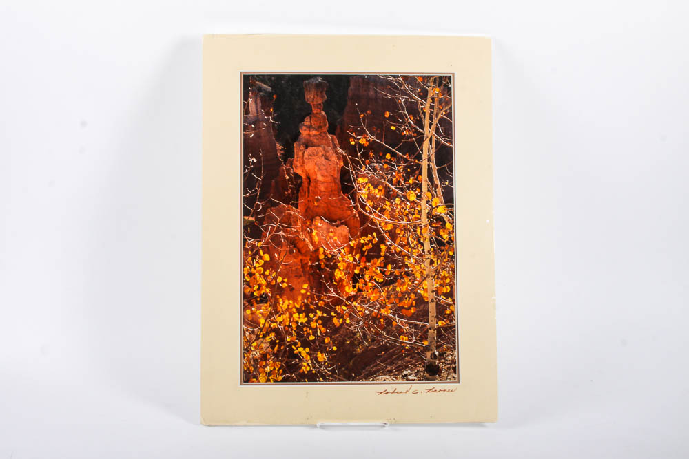 Robert Barnes Nature Photographs