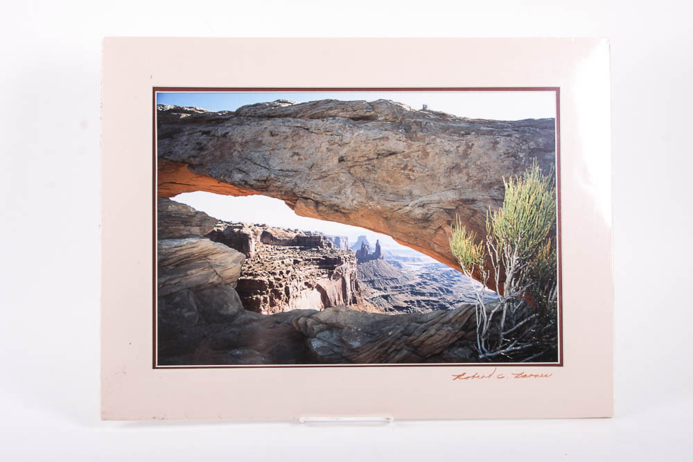 Robert Barnes Nature Photographs