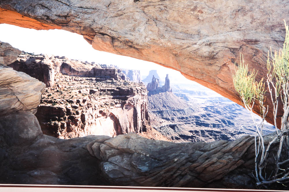 Robert Barnes Nature Photographs