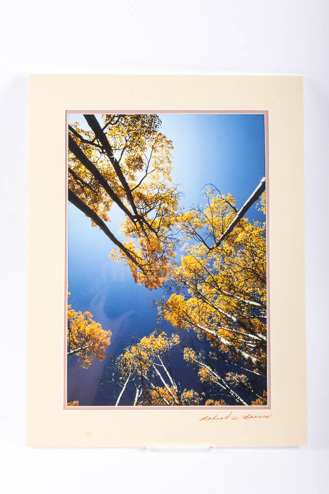 Robert Barnes Nature Photographs