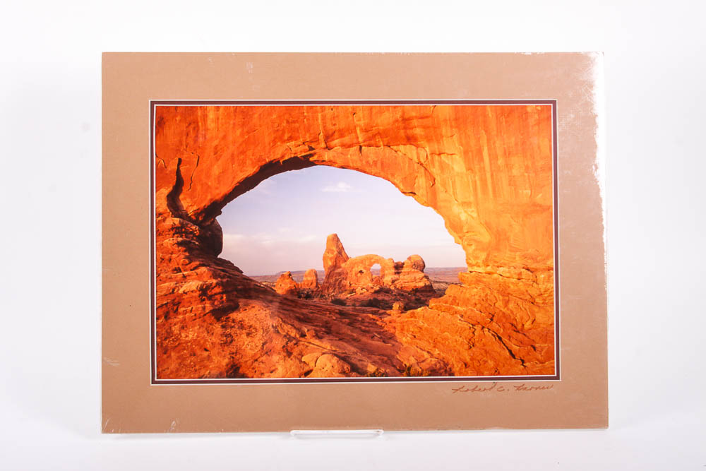 Robert Barnes Nature Photographs