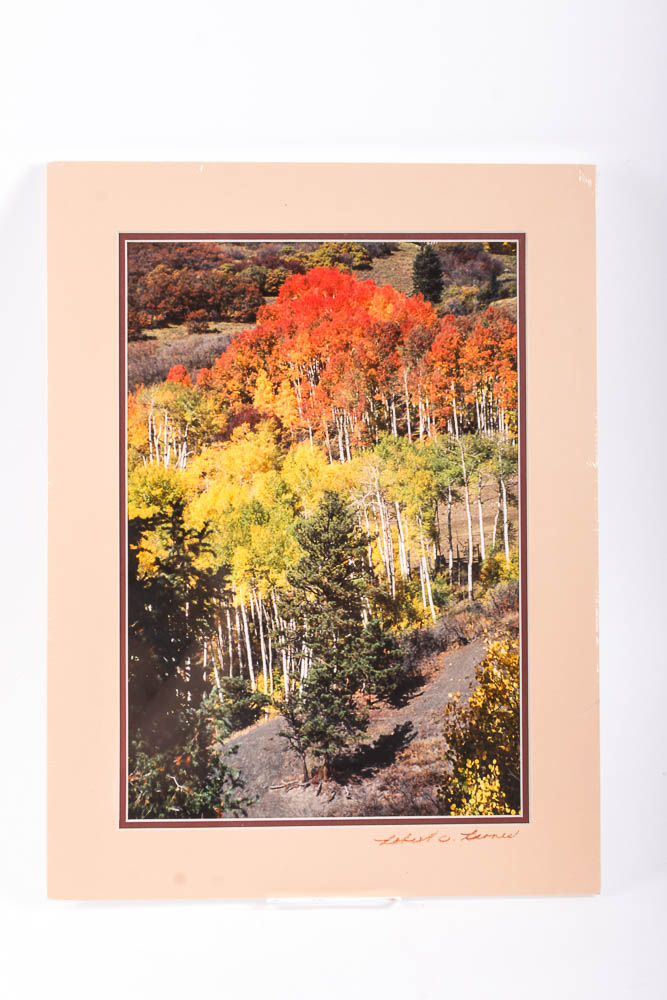 Robert Barnes Nature Photographs