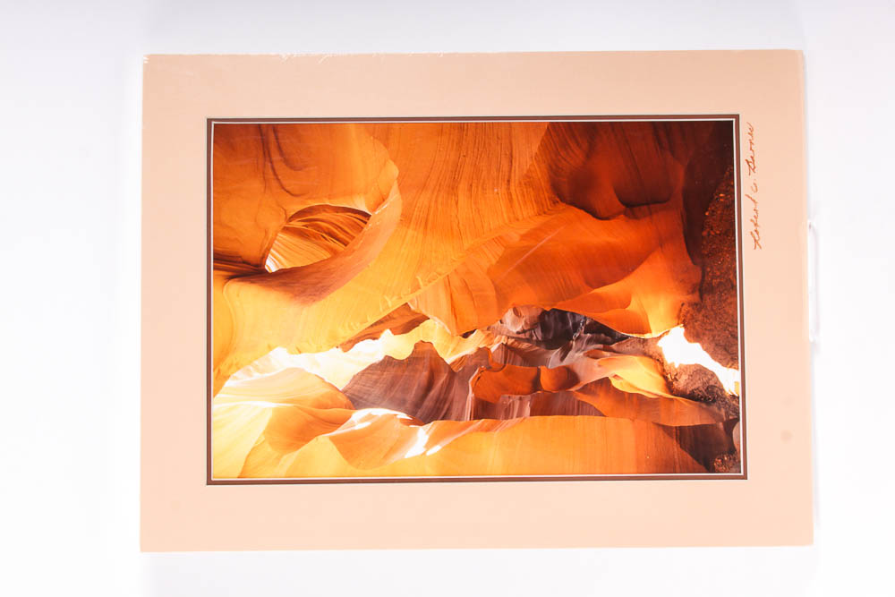 Robert Barnes Nature Photographs