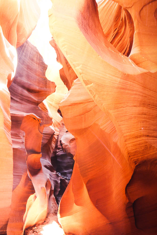 Robert Barnes Nature Photographs