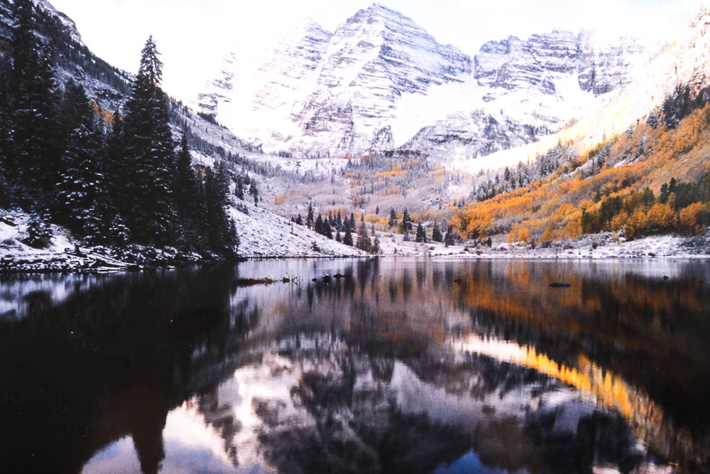 Robert Barnes Nature Photographs