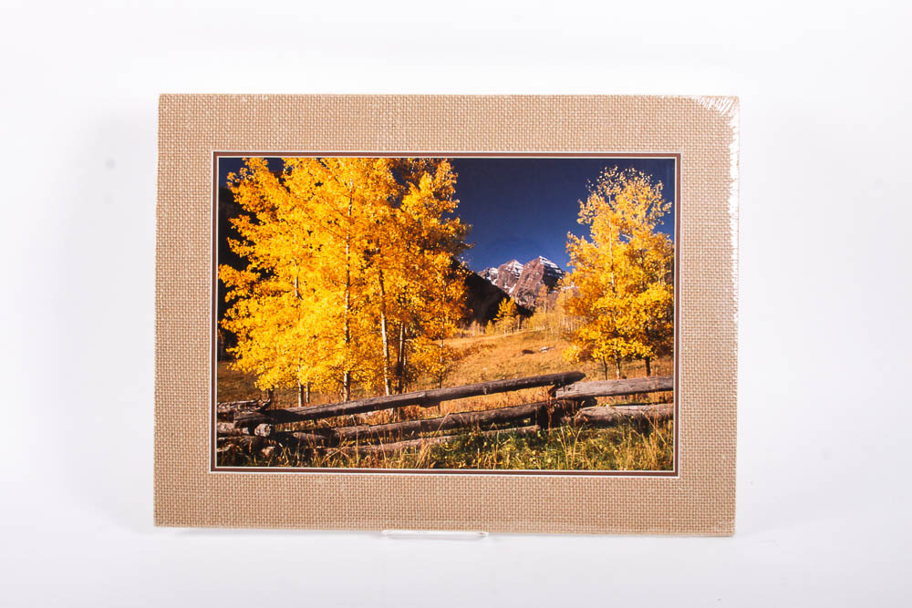 Robert Barnes Nature Photographs