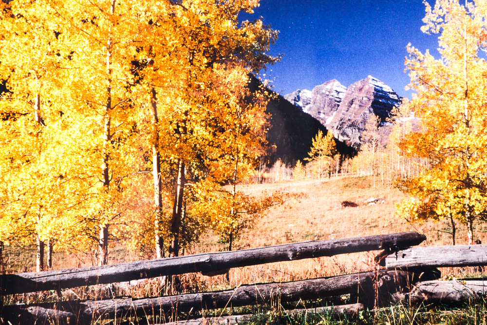 Robert Barnes Nature Photographs