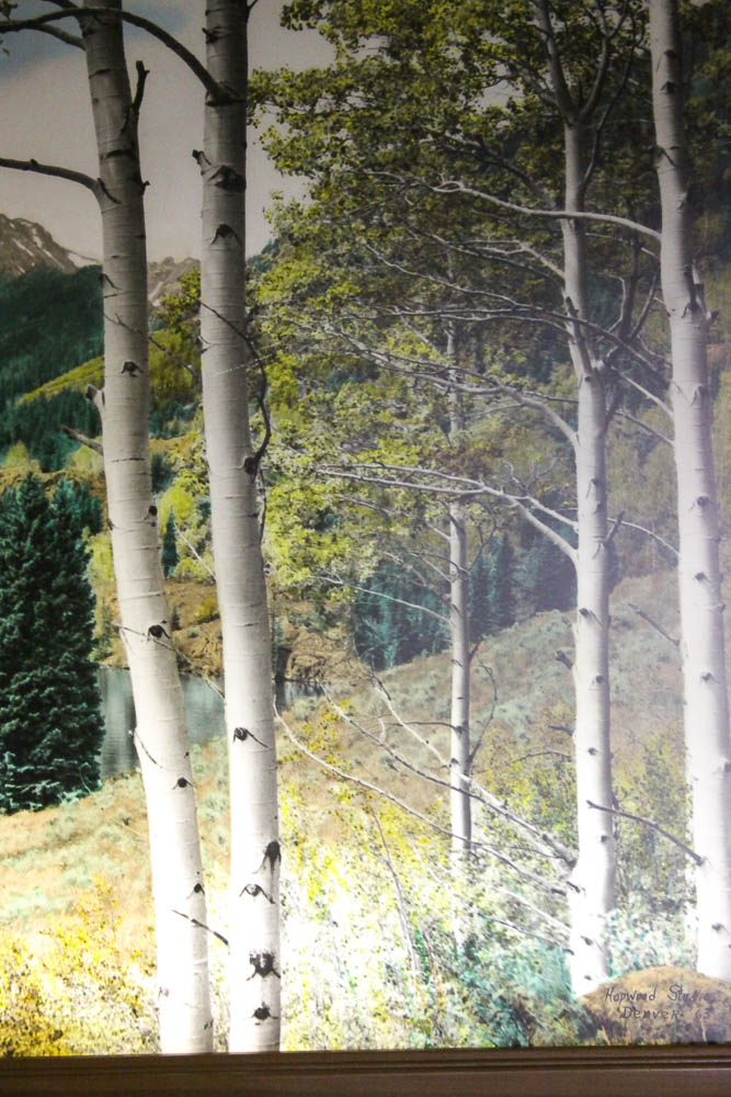 Vintage Light-Up Mountain Scene Wall Art Piece