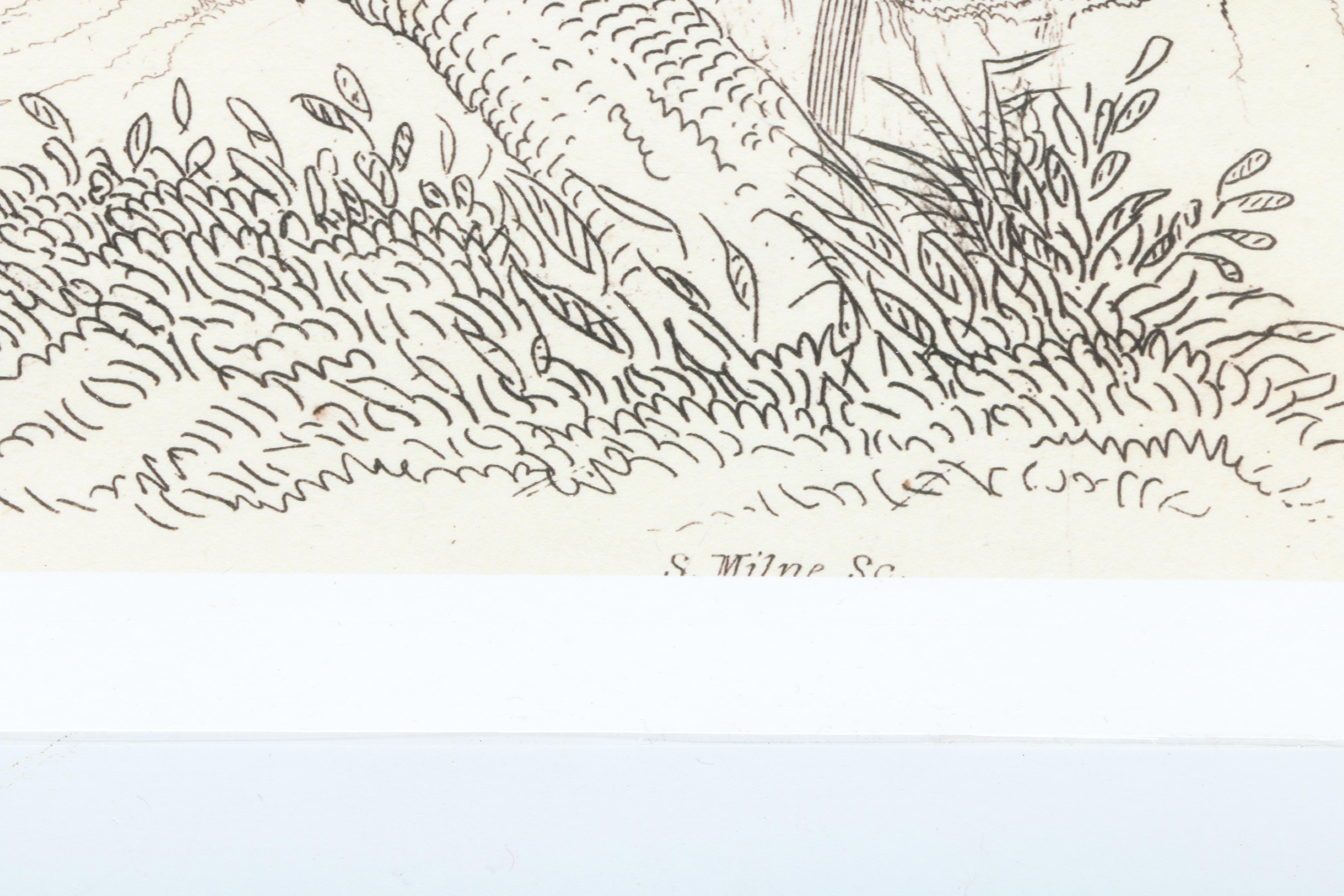 After Titian Peale and Alexander Wilson Ornithological Giclée "Hirundo, Swallows"