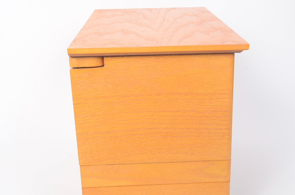 "For Your Ease Only" Jewelry Box by Lori Greiner