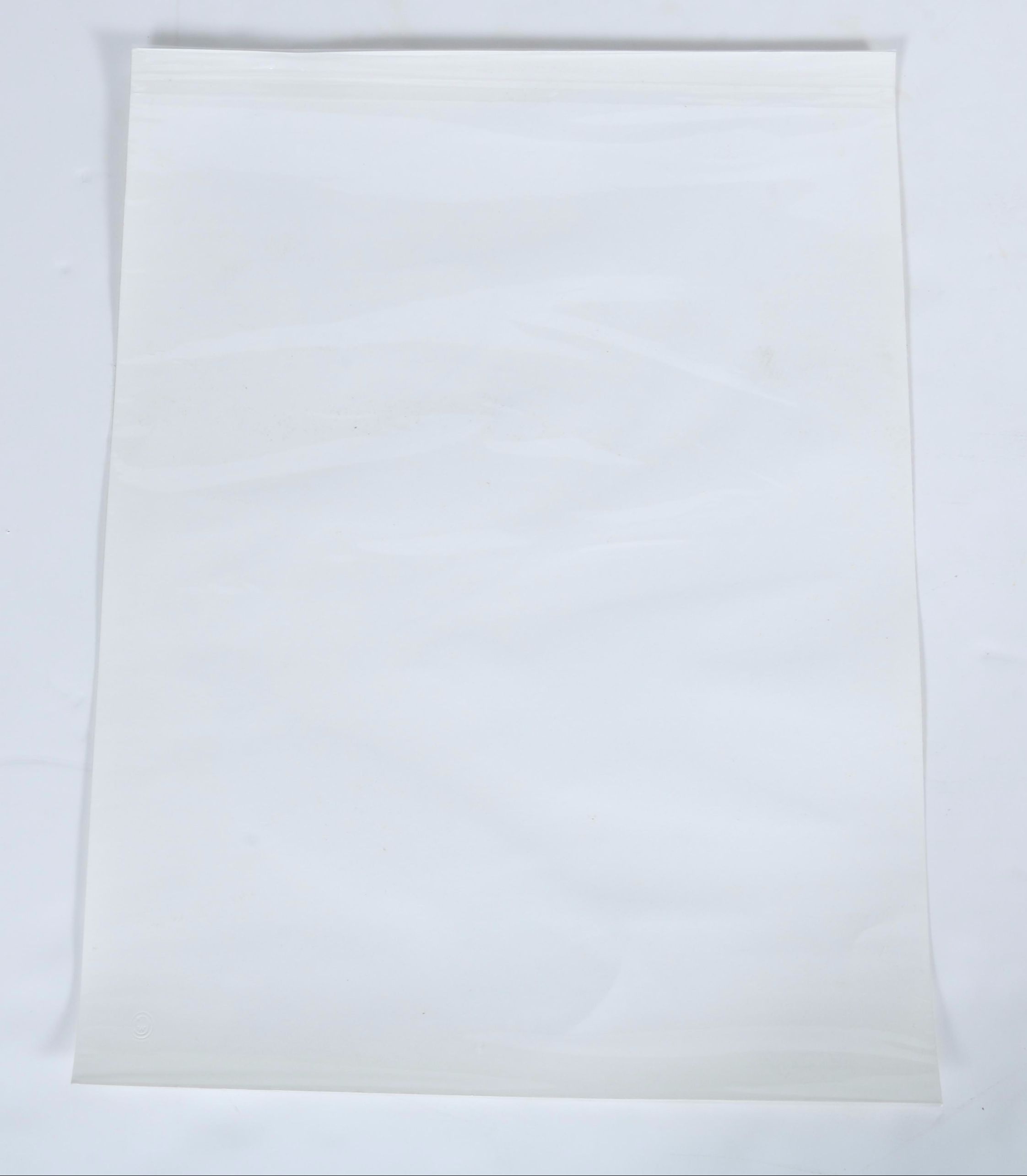 After Titian Peale and Alexander Wilson Ornithological Giclée "Hirundo, Swallows"