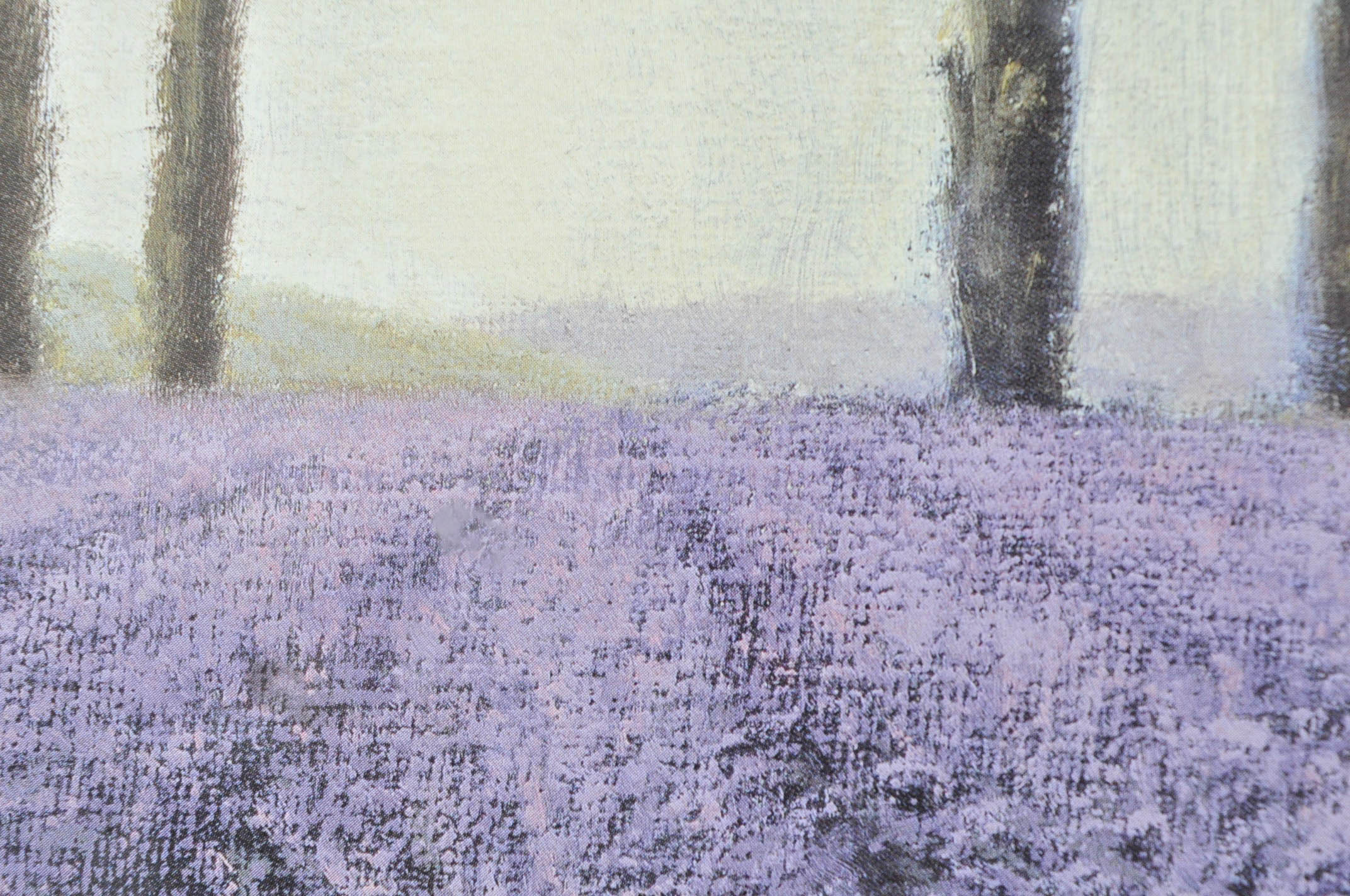 Pair of Offset Lithographs of Lavender Fields