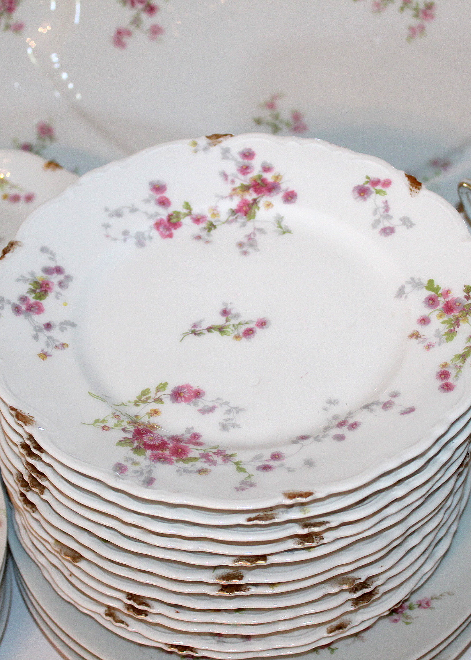 Antique Haviland Limoges China