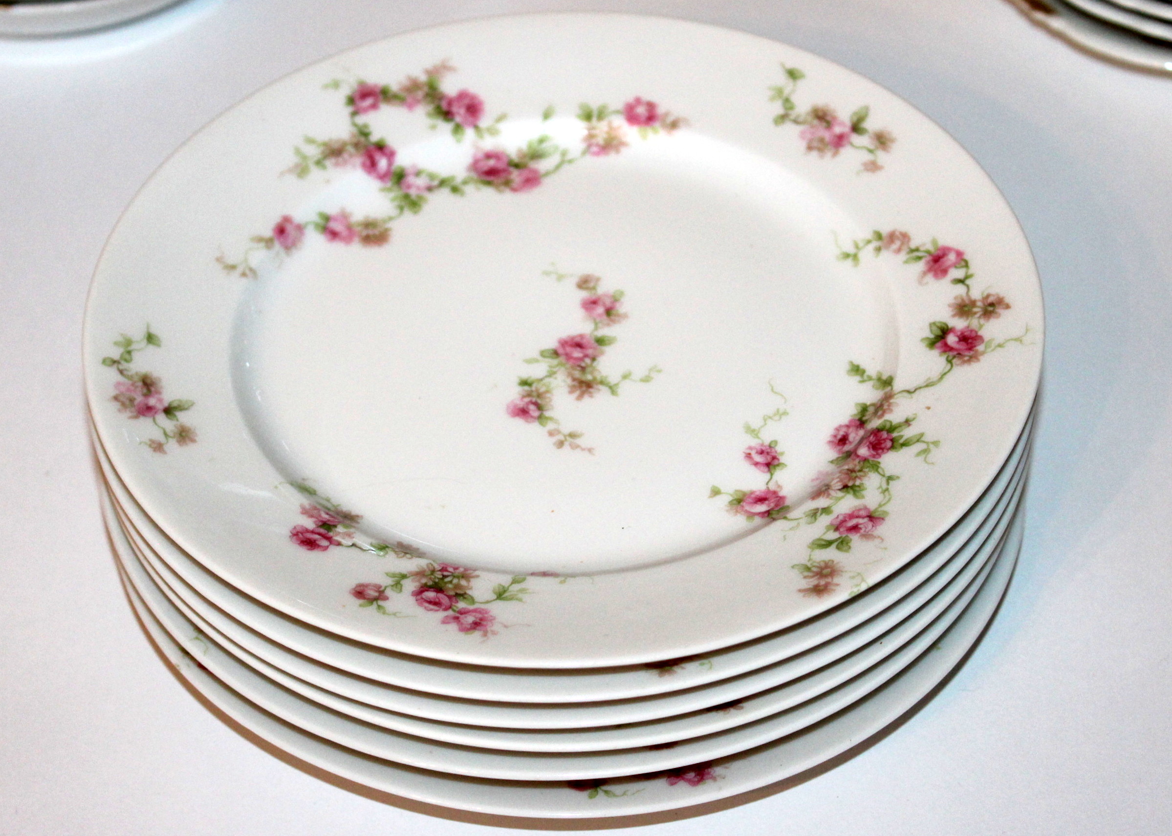 Antique Haviland Limoges China
