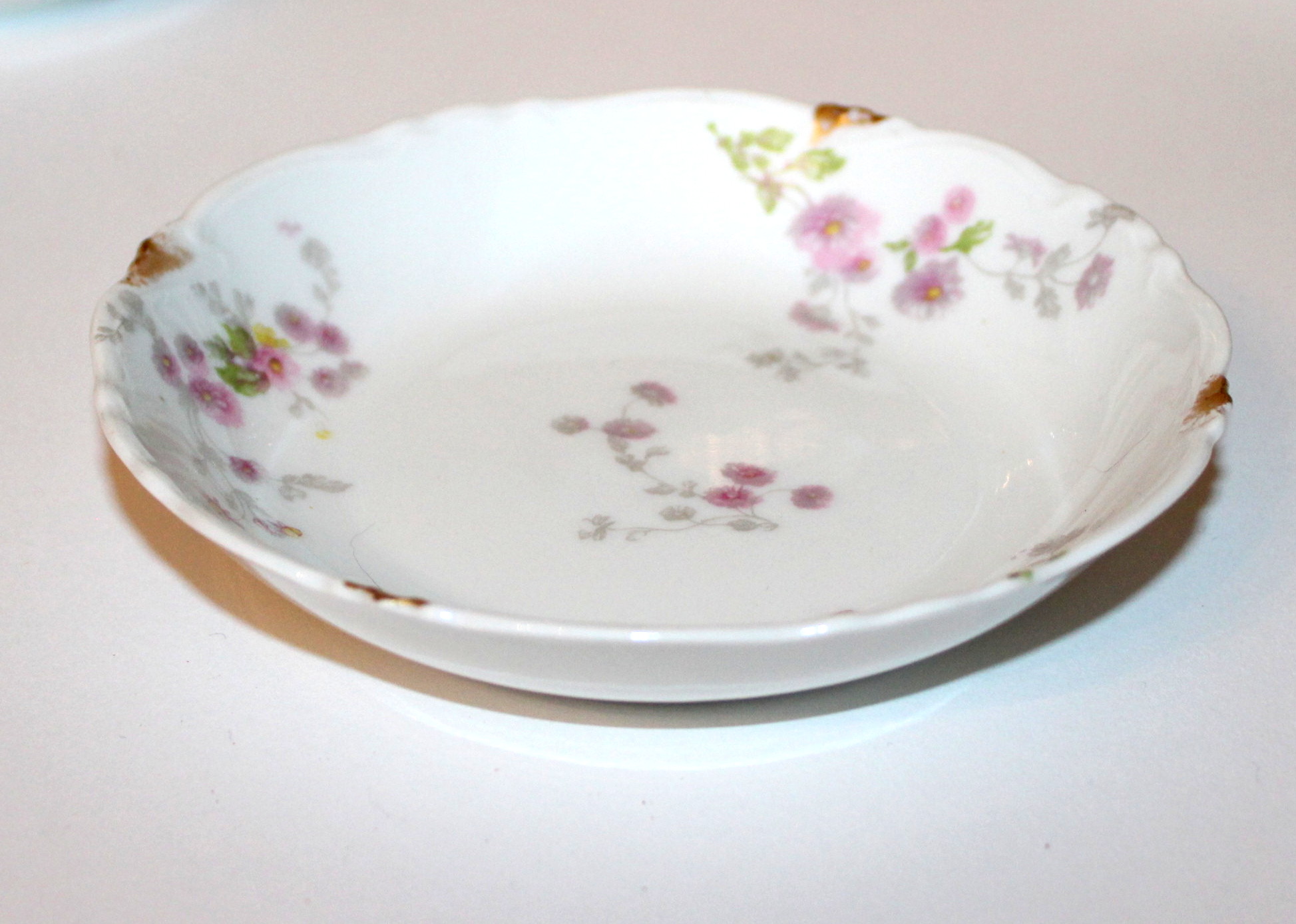 Antique Haviland Limoges China