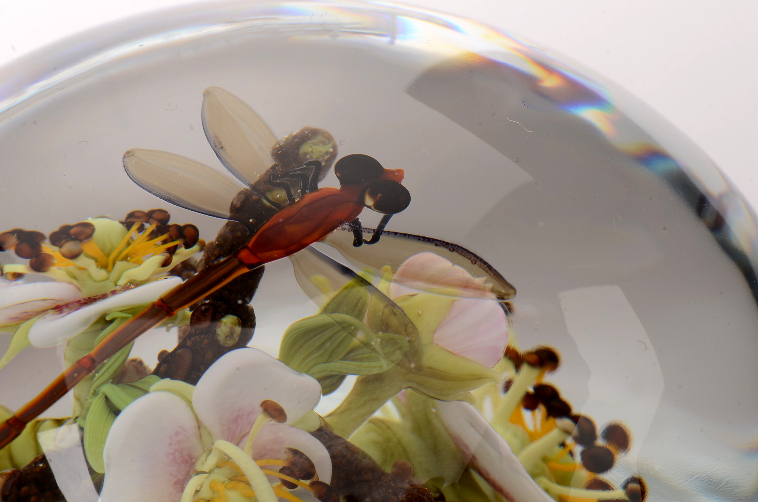 Signed Paul Stankard Handcrafted Art Glass "Fertile Seeds" Paperweight