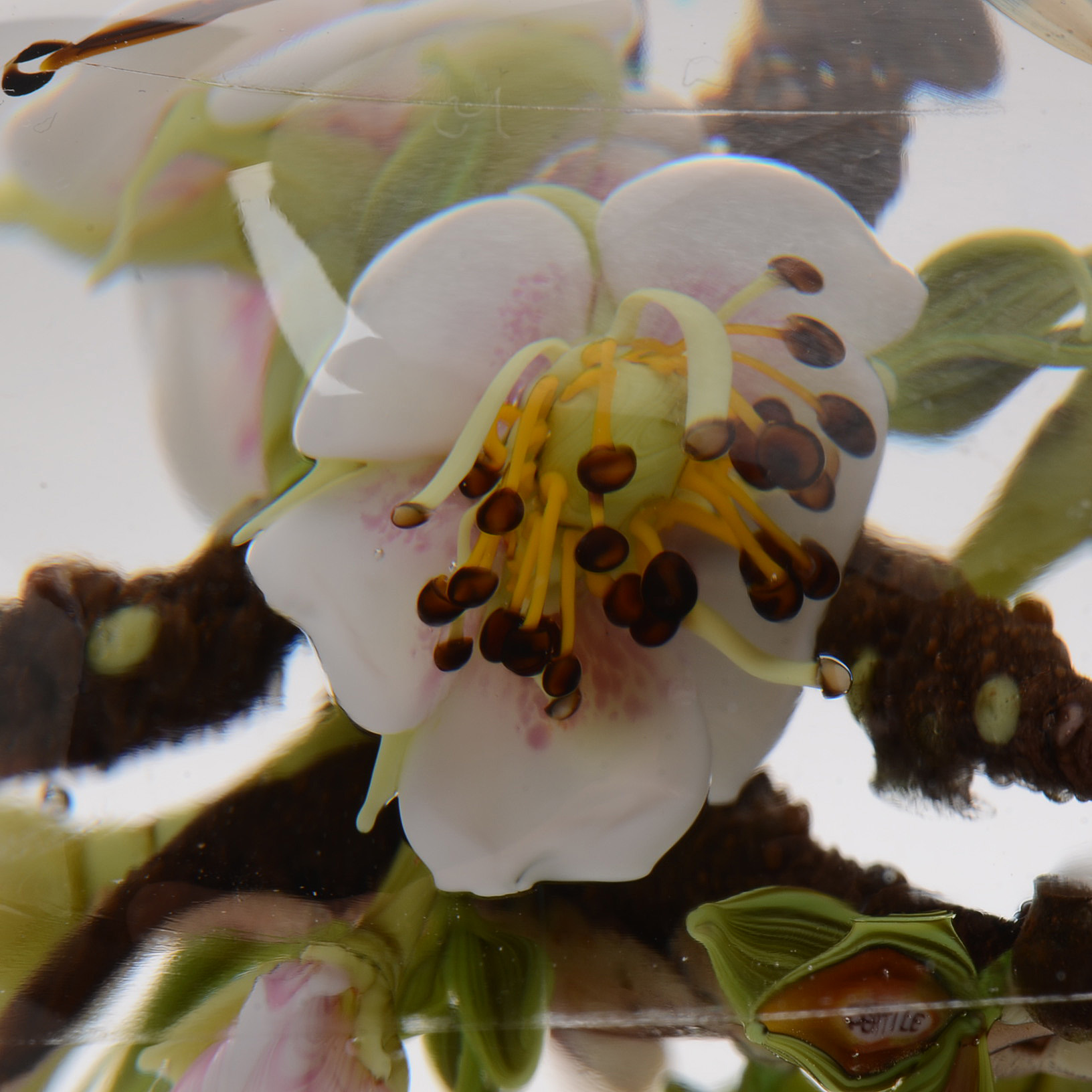 Signed Paul Stankard Handcrafted Art Glass "Fertile Seeds" Paperweight