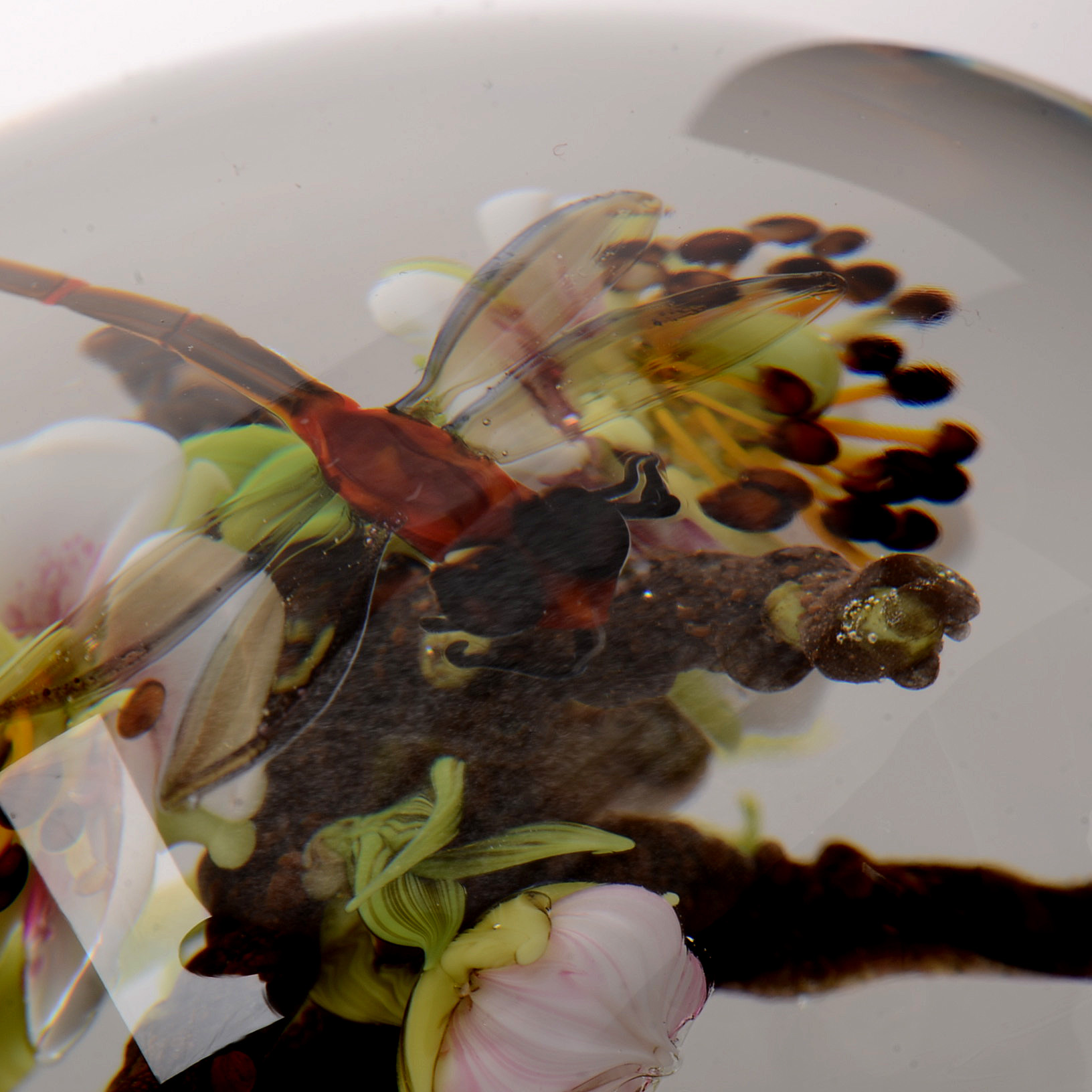 Signed Paul Stankard Handcrafted Art Glass "Fertile Seeds" Paperweight