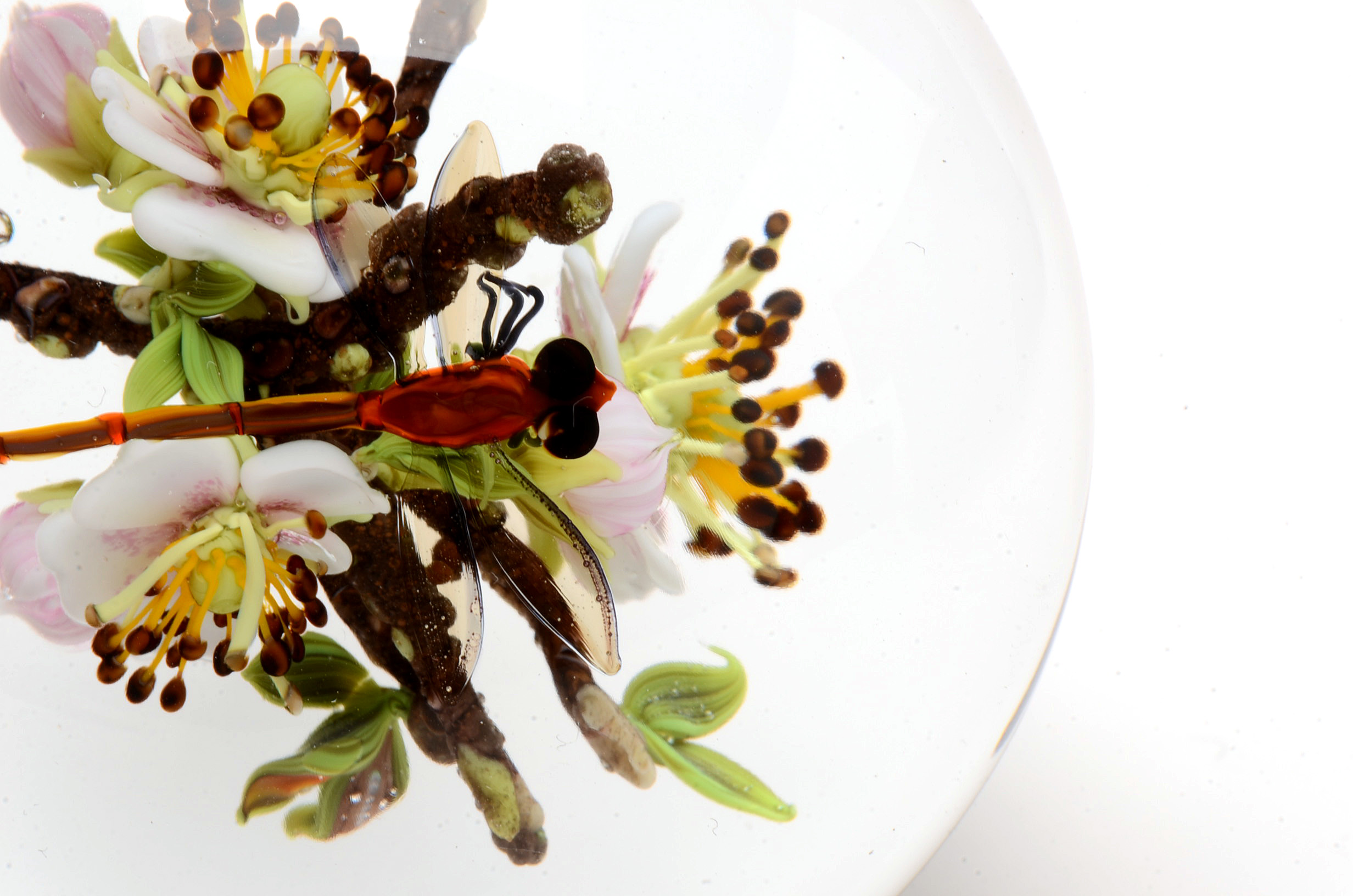 Signed Paul Stankard Handcrafted Art Glass "Fertile Seeds" Paperweight