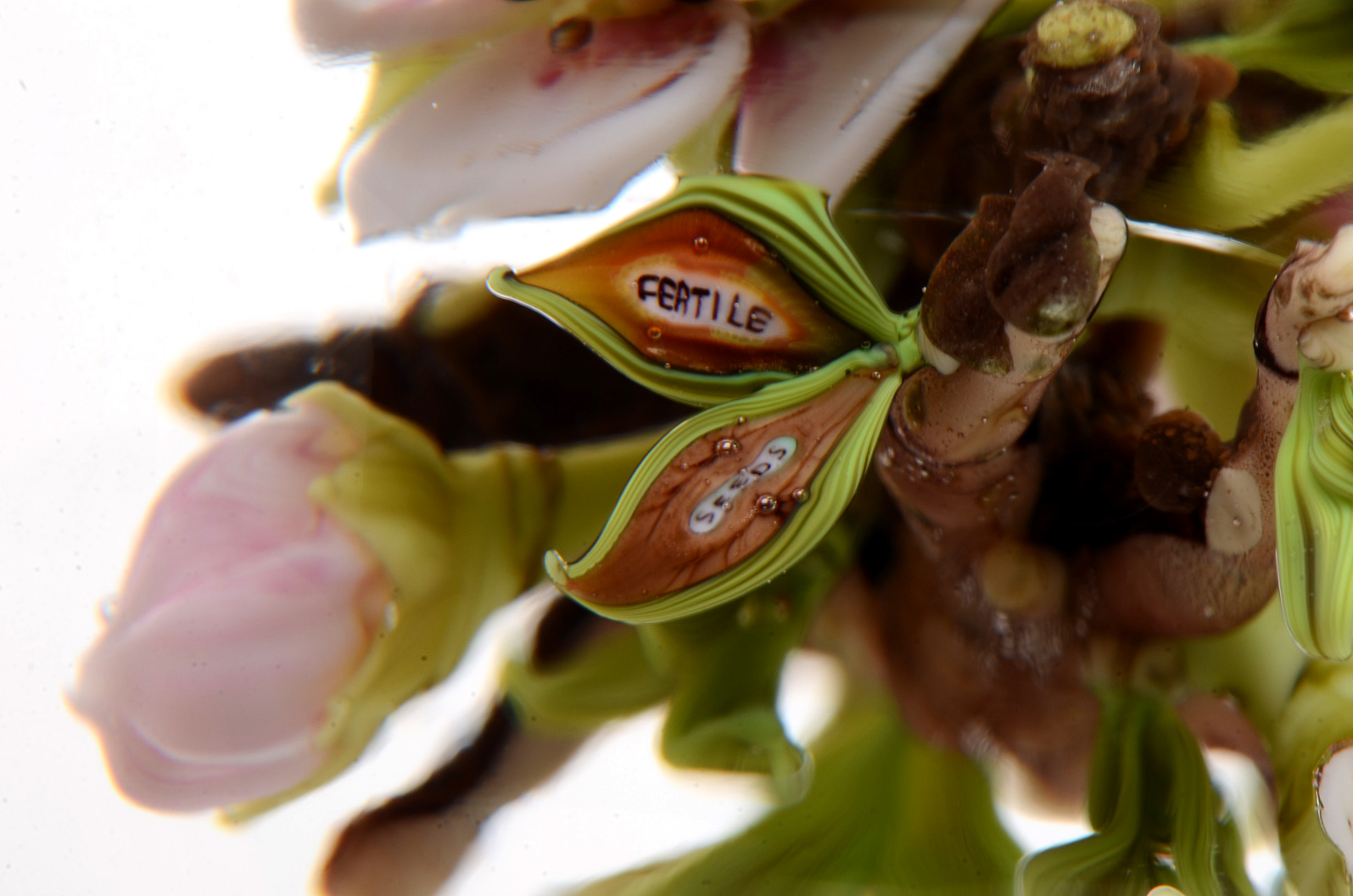 Signed Paul Stankard Handcrafted Art Glass "Fertile Seeds" Paperweight