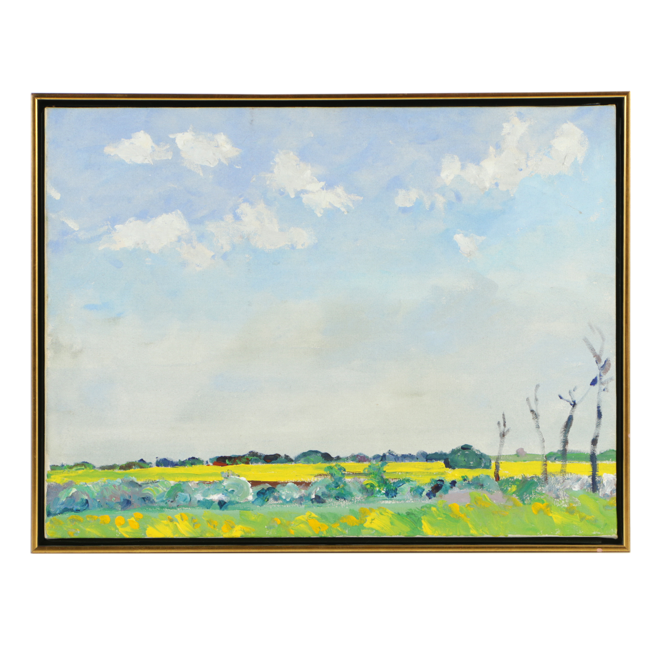 Dorothy Knowles, "Rapeseed Fields Near Duck Lake"