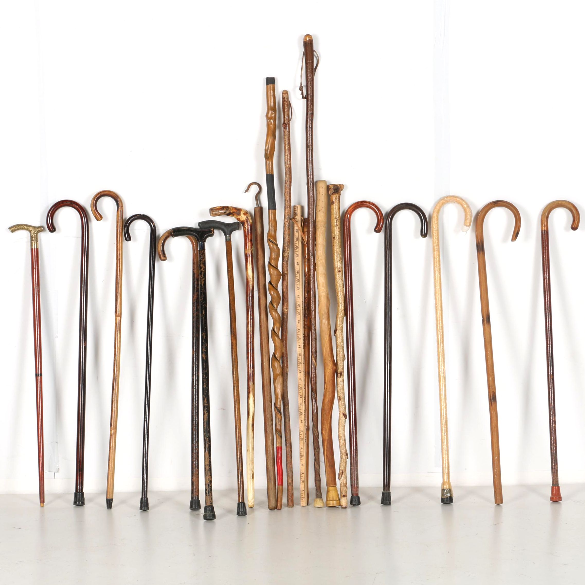 Canes and Walking Sticks