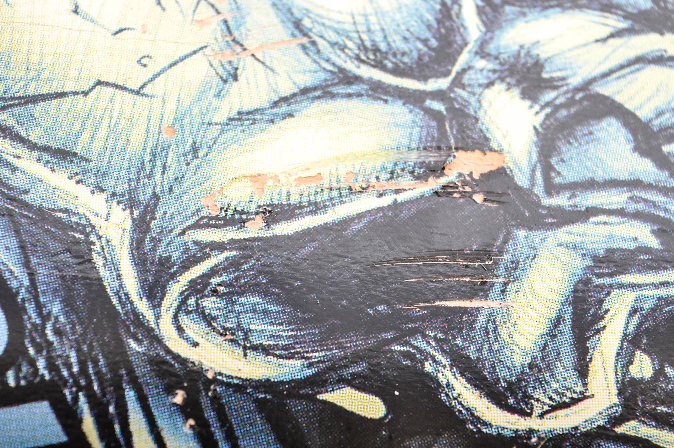 Tony Hawk HuckJam and Zero Brand Skateboards