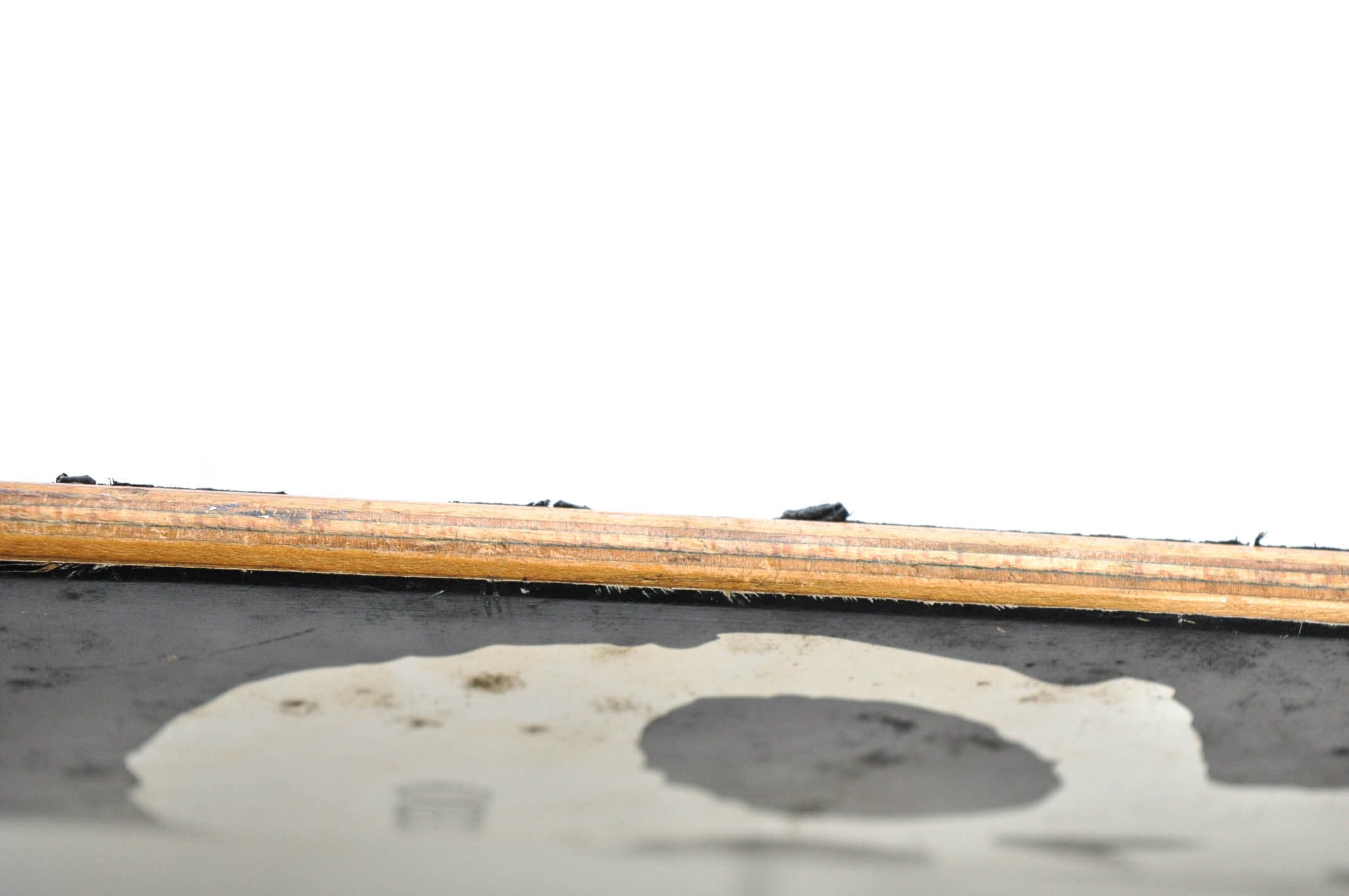 Tony Hawk HuckJam and Zero Brand Skateboards