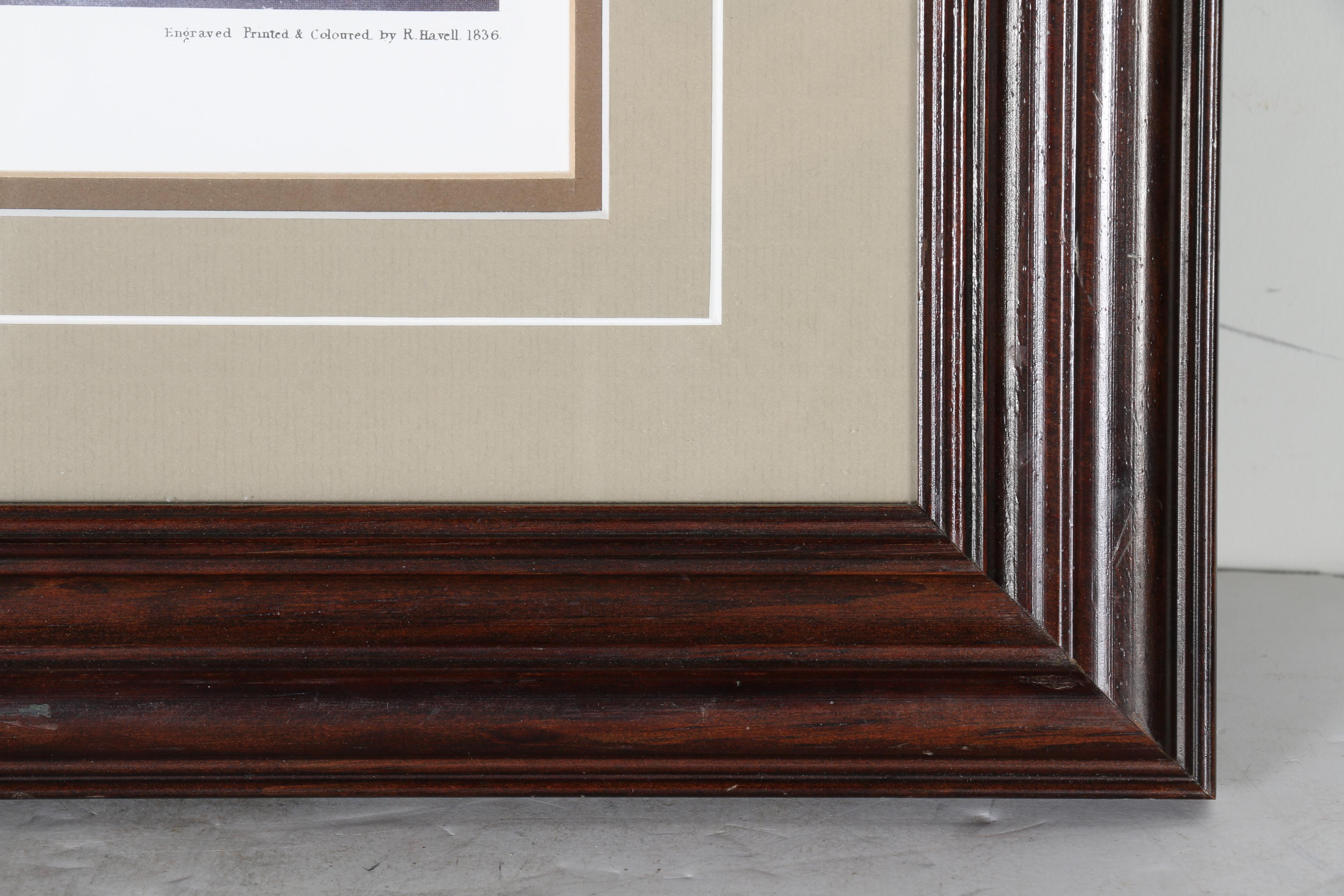 Reproduction R. Havell Offset Lithographs "Mallard Duck"