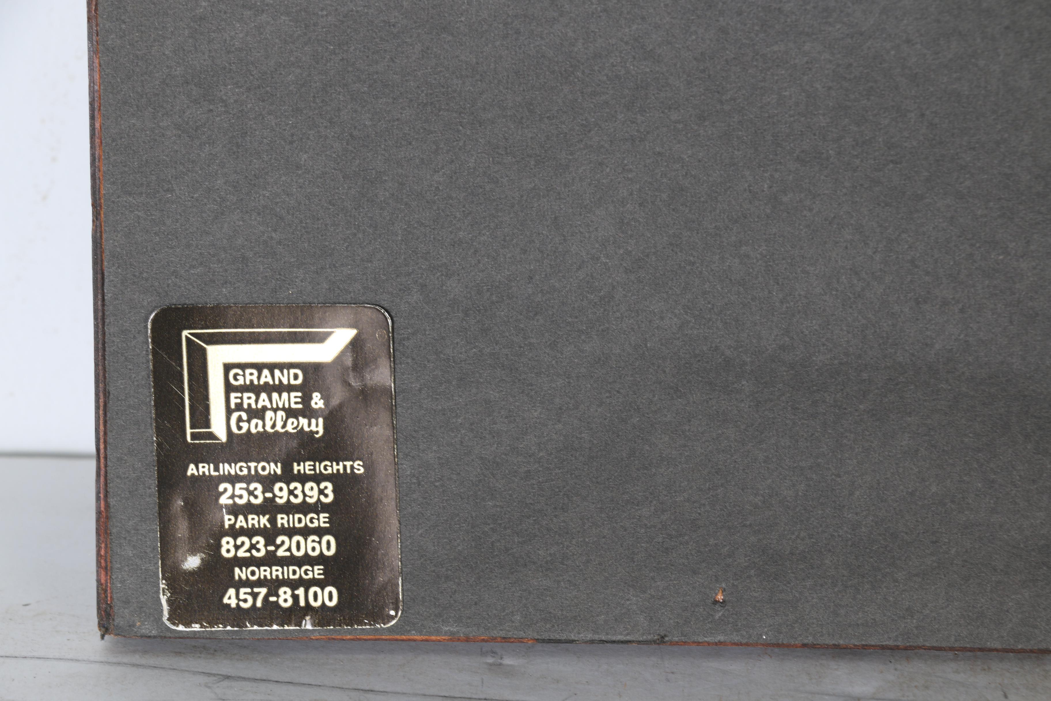 Reproduction R. Havell Offset Lithographs "Mallard Duck"