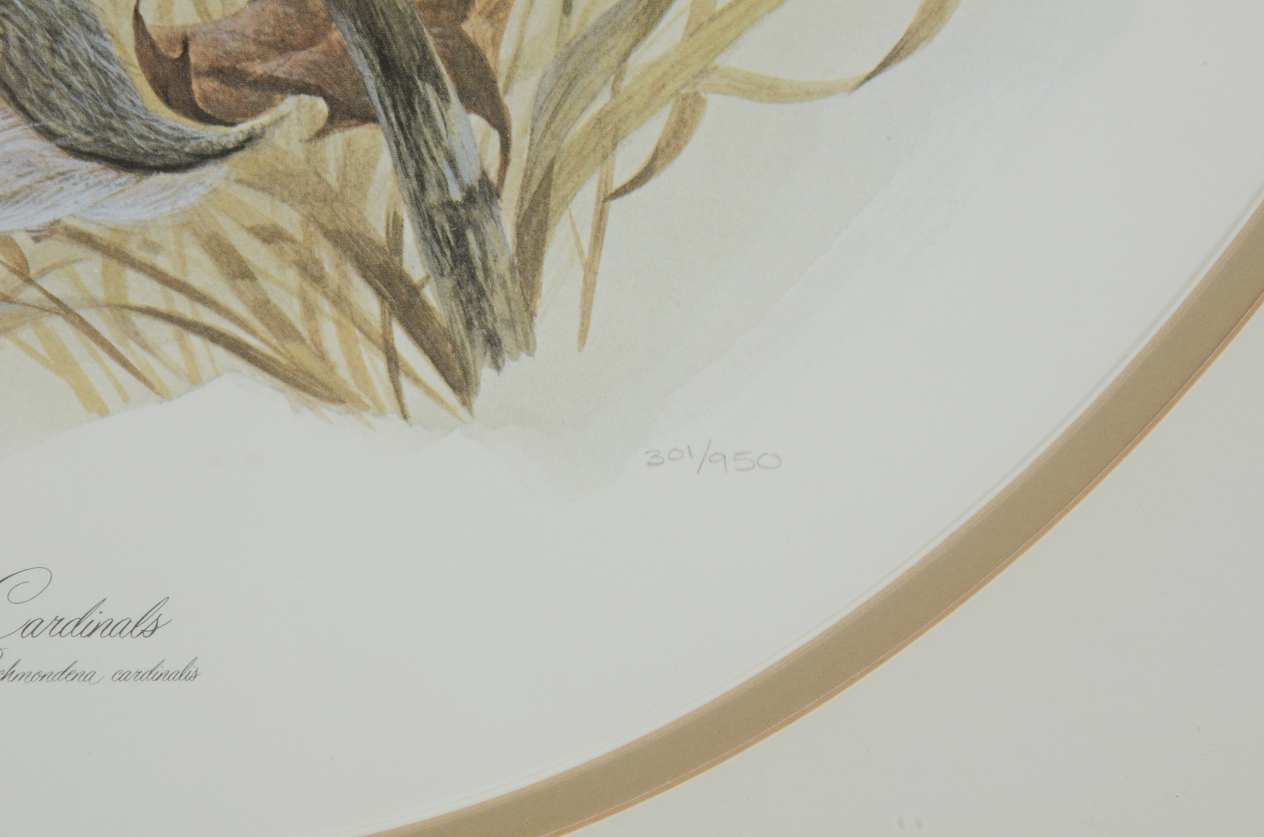 John Ruthven Signed Limited Edition Offset Lithograph "Cardinals"