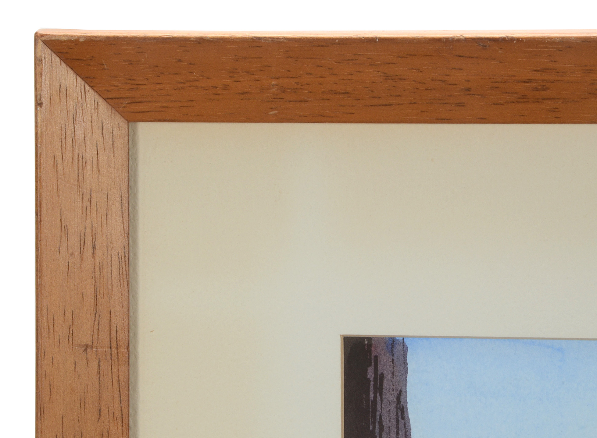 Hand-Colored Lithograph after Anthony Shemroske