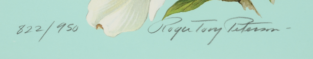 Roger Tory Peterson 1978 Signed Limited Edition Offset Lithograph "American Robin"