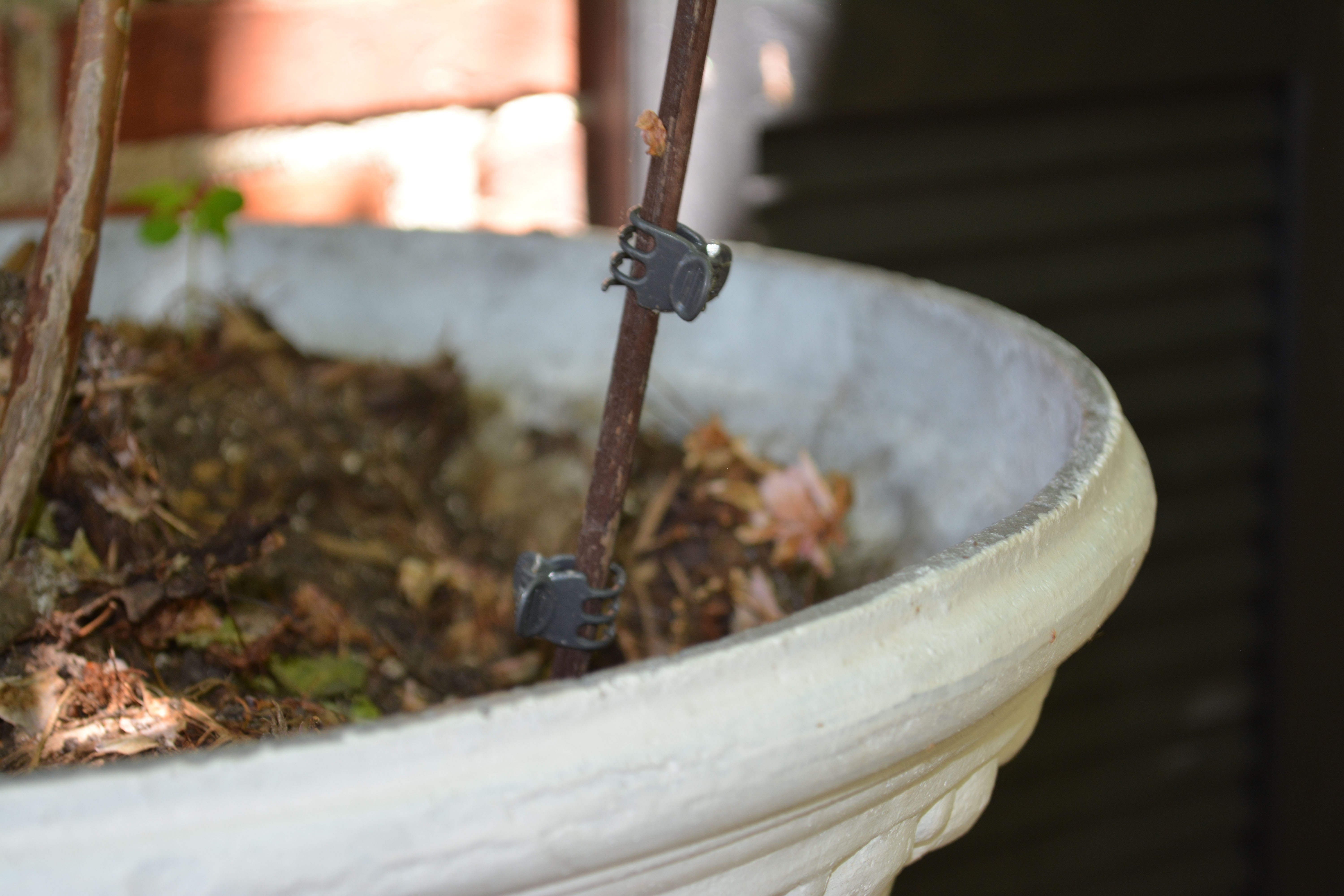 Antique White Painted Planter