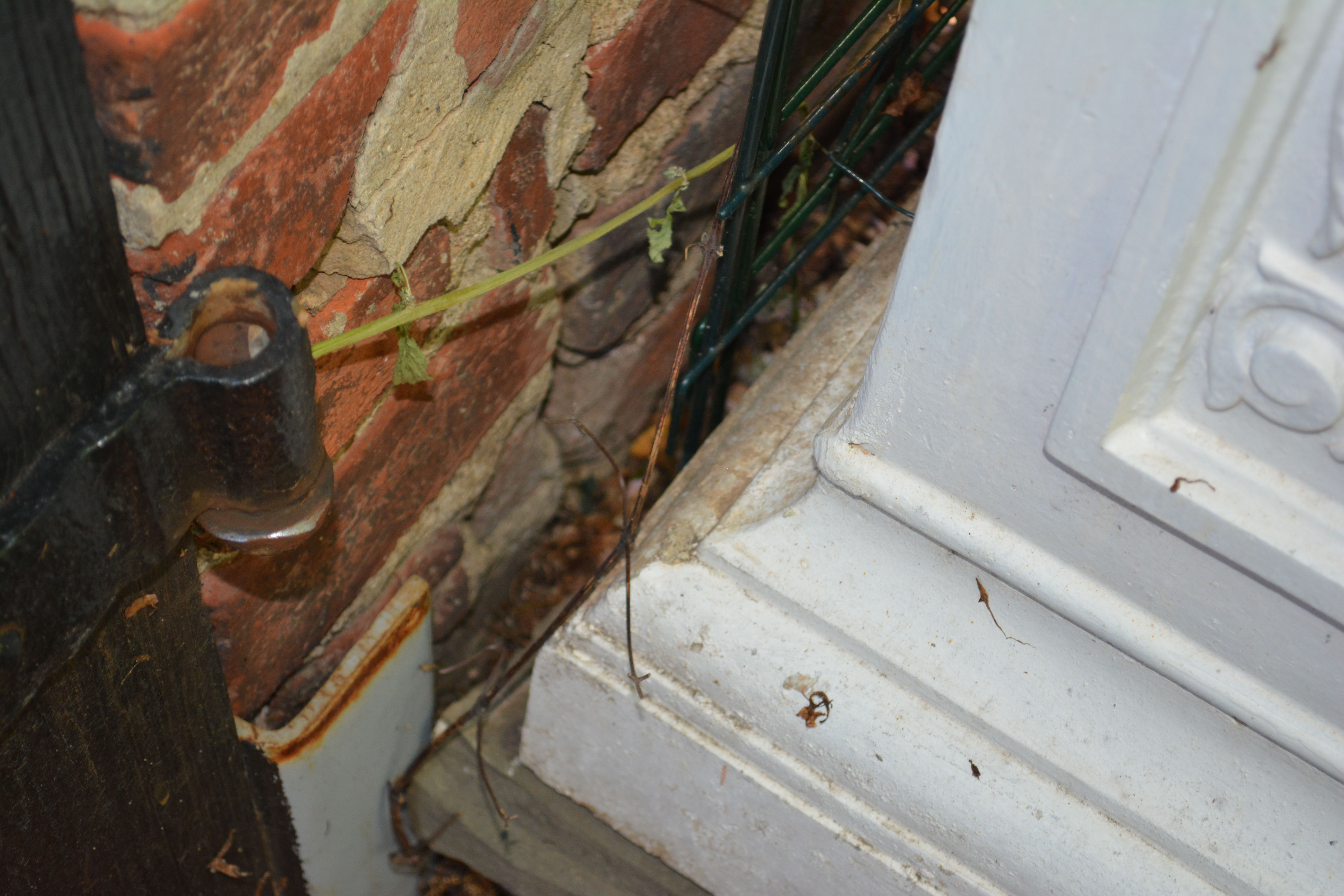 Antique White Painted Planter