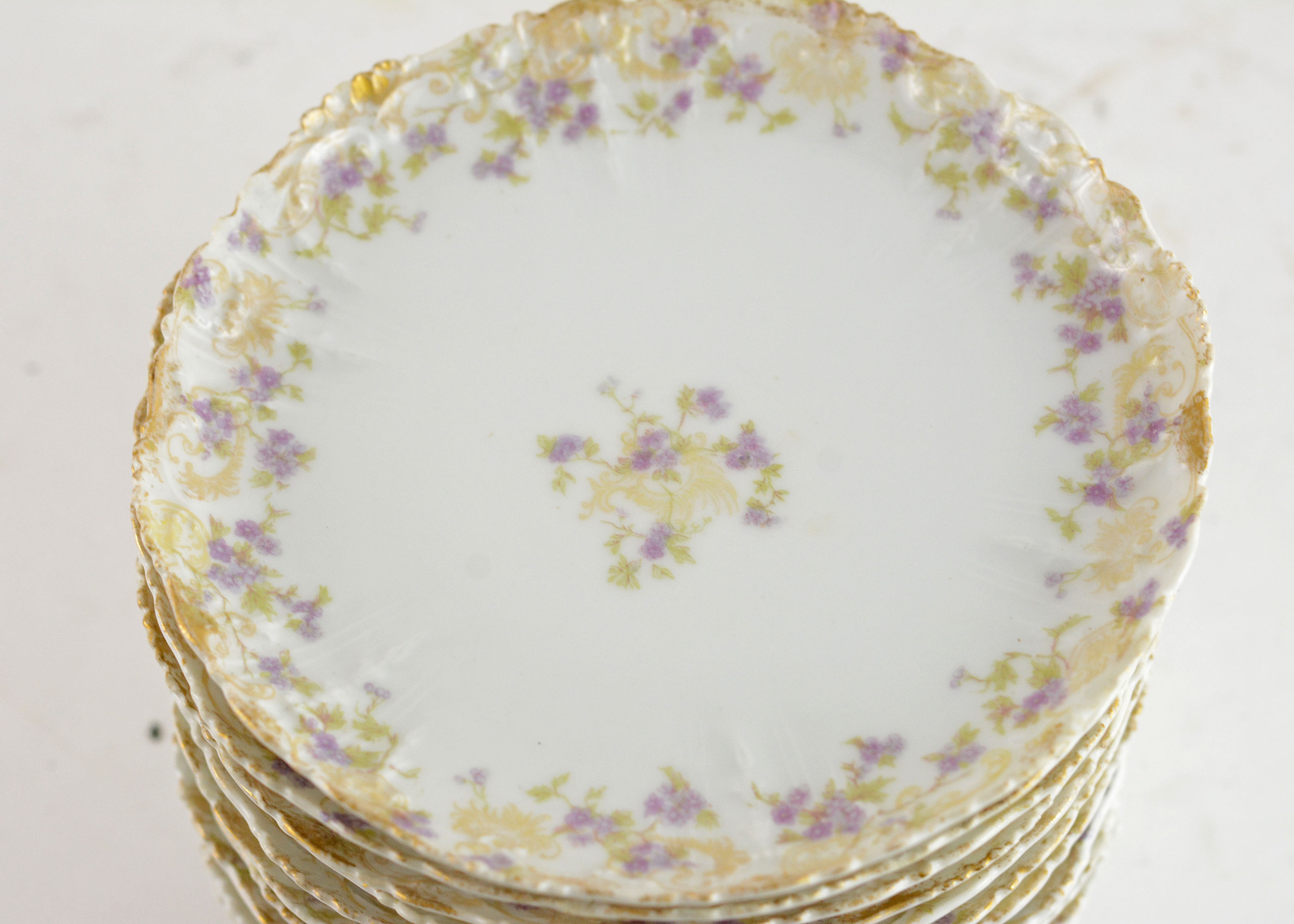 Hand-Painted Haviland Limoges Porcelain Plates