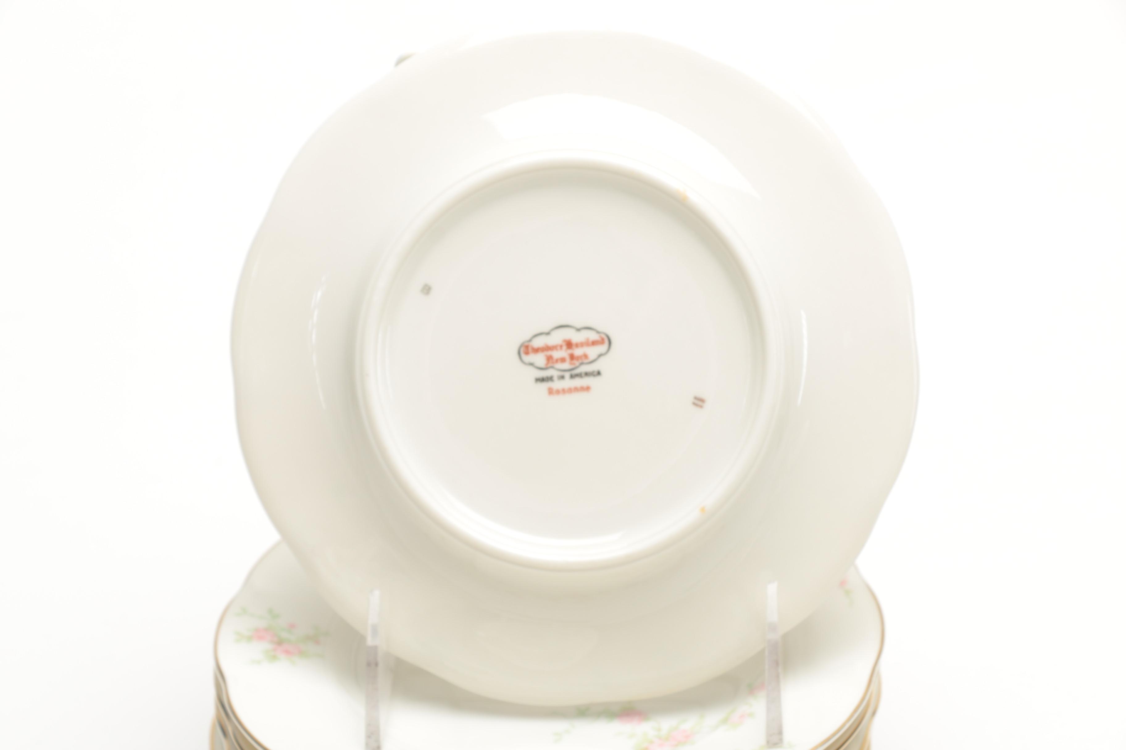 Theodore Haviland Porcelain Tableware Set