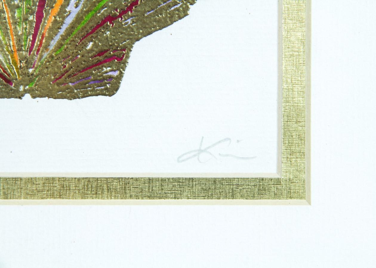 Pair of Prints of a Shell and Fish